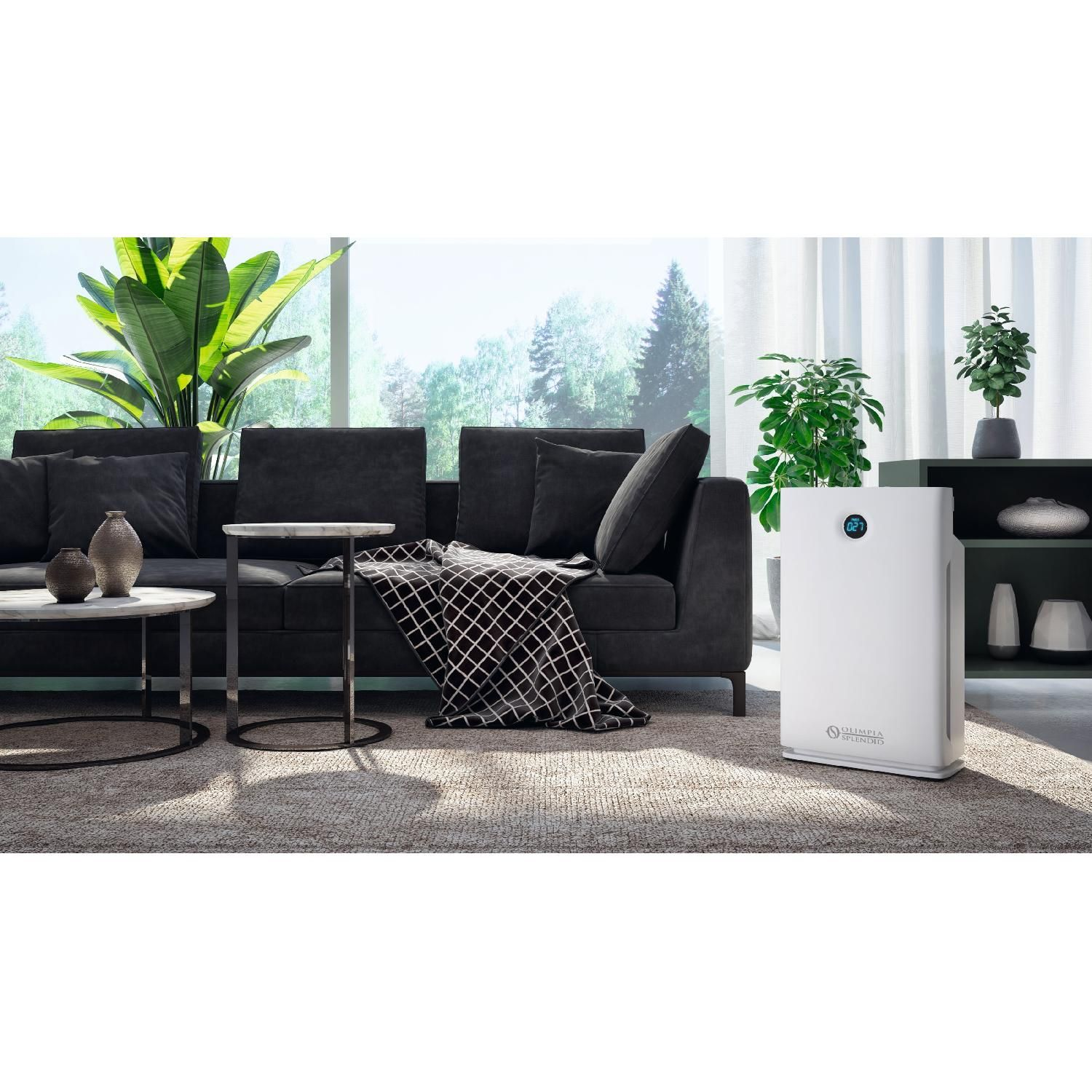 Ein modernes Wohnzimmer mit schwarzem Sofa, Pflanzen und einem weißen Luftreiniger.
