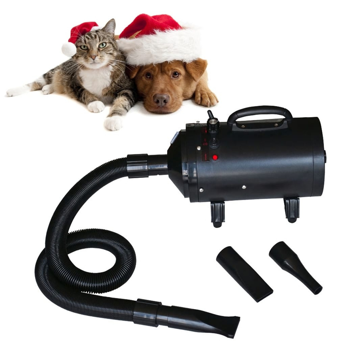 Eine Katze und ein Hund mit Weihnachtsmützen, mit einem Haustrockner.