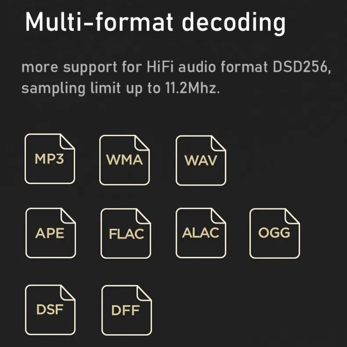 Symbole von Audiodateien (MP3, WMA, WAV, APE, FLAC, ALAC, OGG, DSF, DFF) auf schwarzem Hintergrund.