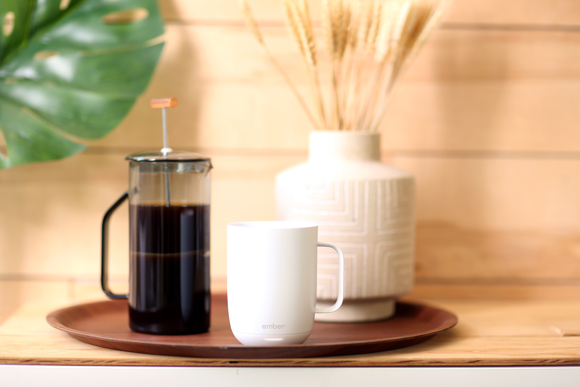 Una tazza bianca e una caffettiera su un vassoio, con una pianta e un vaso, su un tavolo di legno.