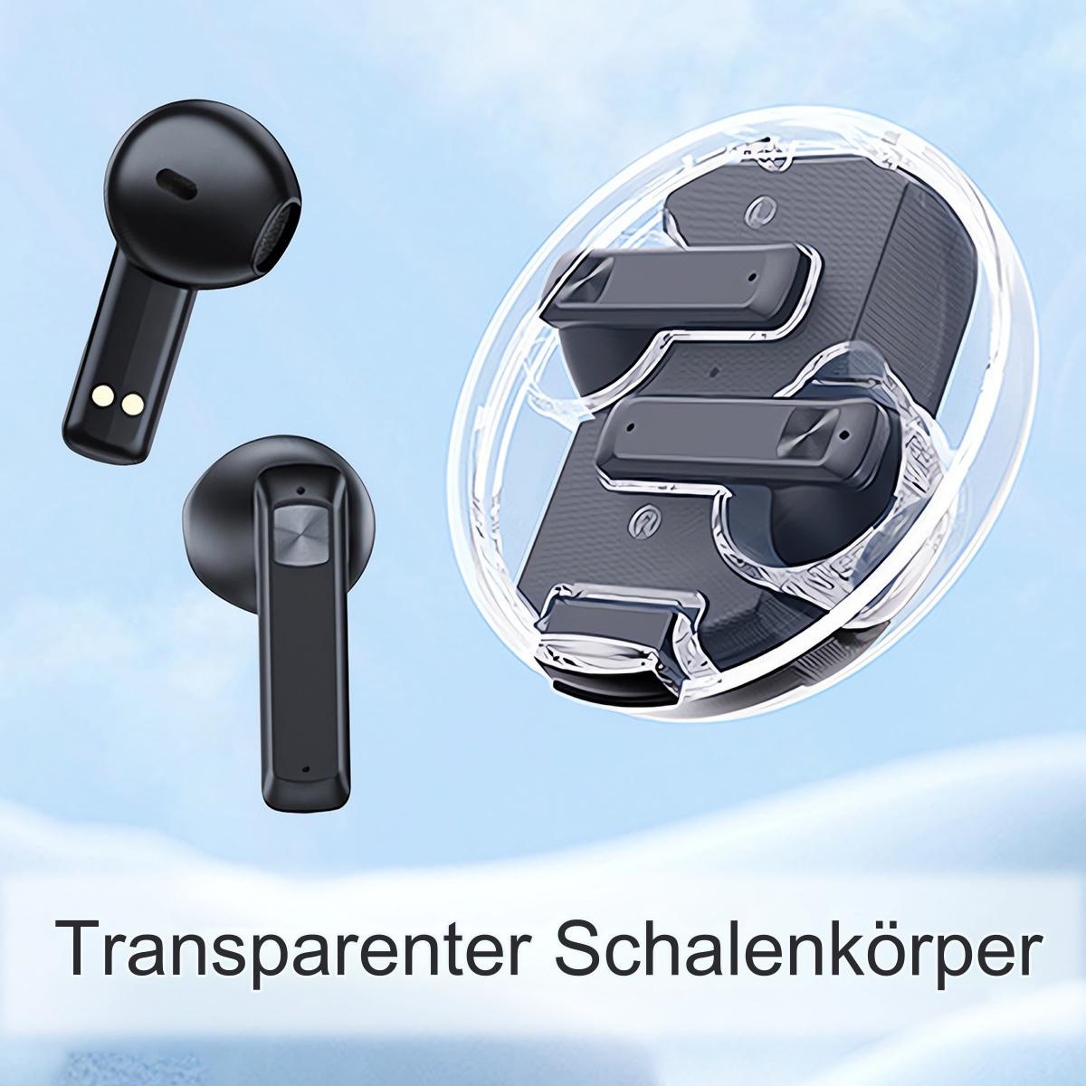 Schwarze Ohrhörer und ein durchsichtiges Case. Der Text lautet 'Transparent Shell'.