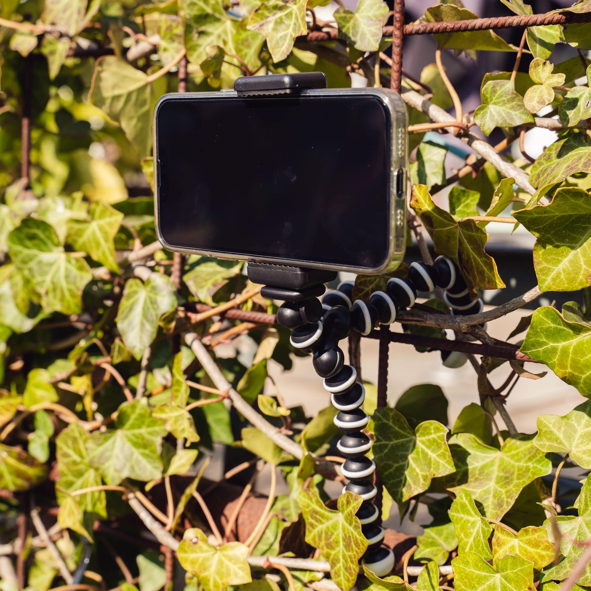 Phone mounted on a flexible tripod, surrounded by green leaves and a metal grid.