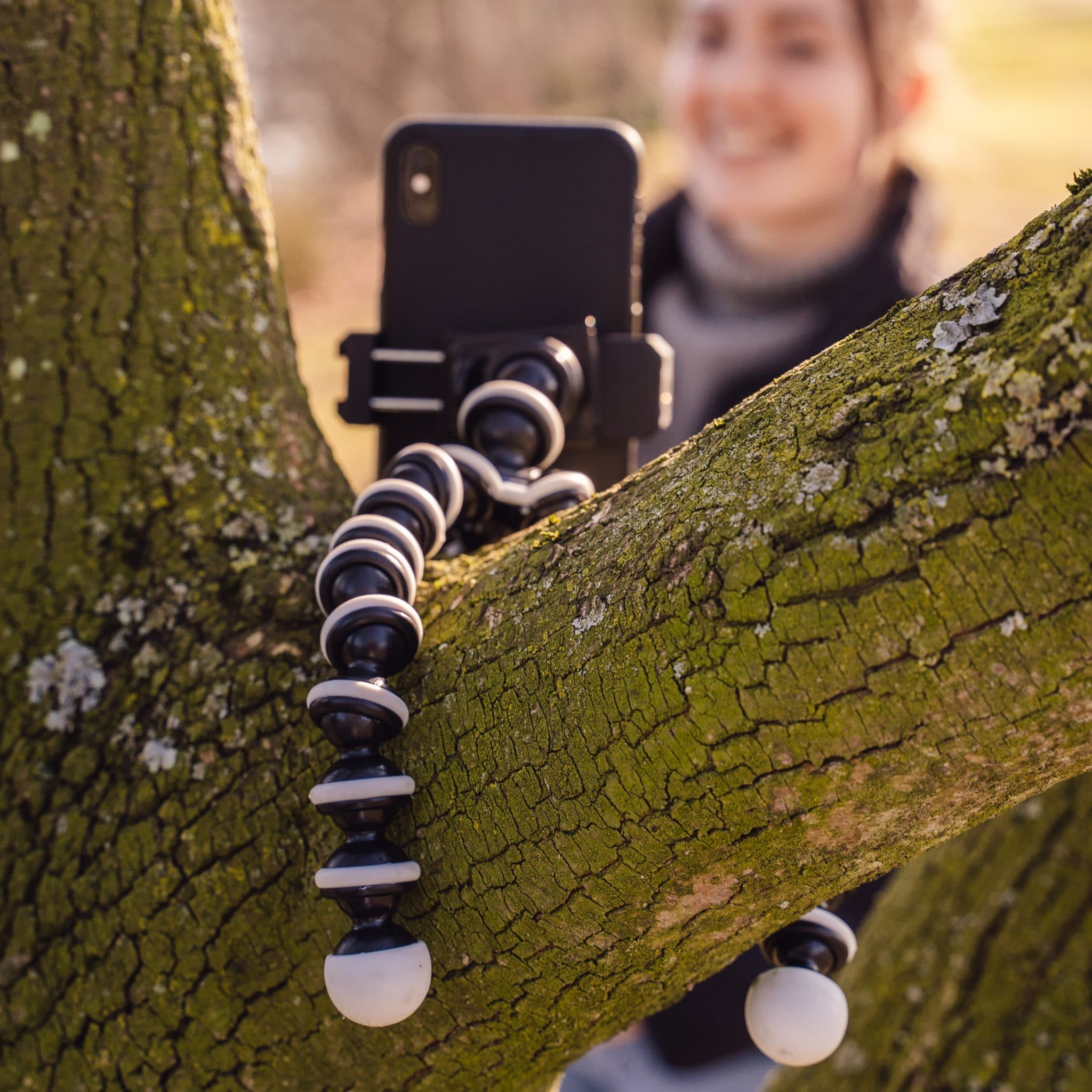 Phone mounted on a flexible tripod on tree branch, woman out of focus in background.