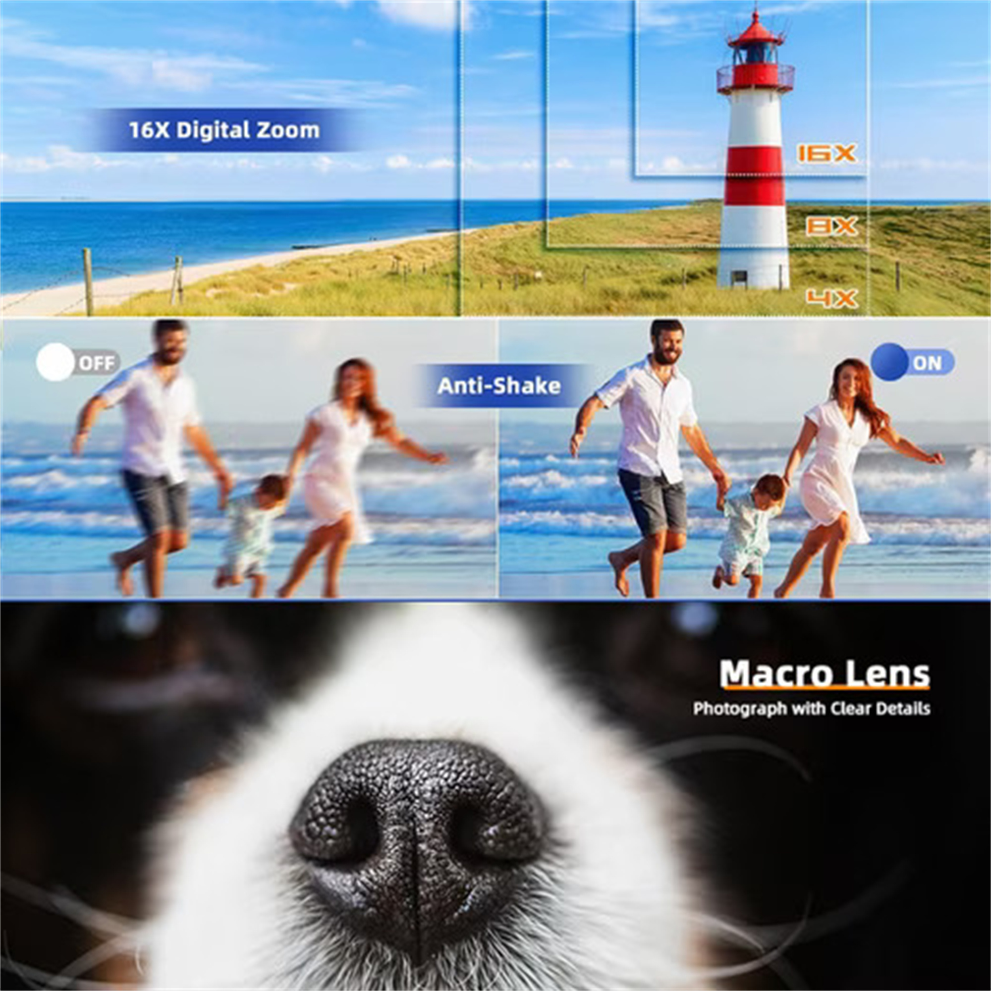 Zusammengesetztes Bild: Strand, Leuchtturm, Hundenase. Textüberlagerungen.