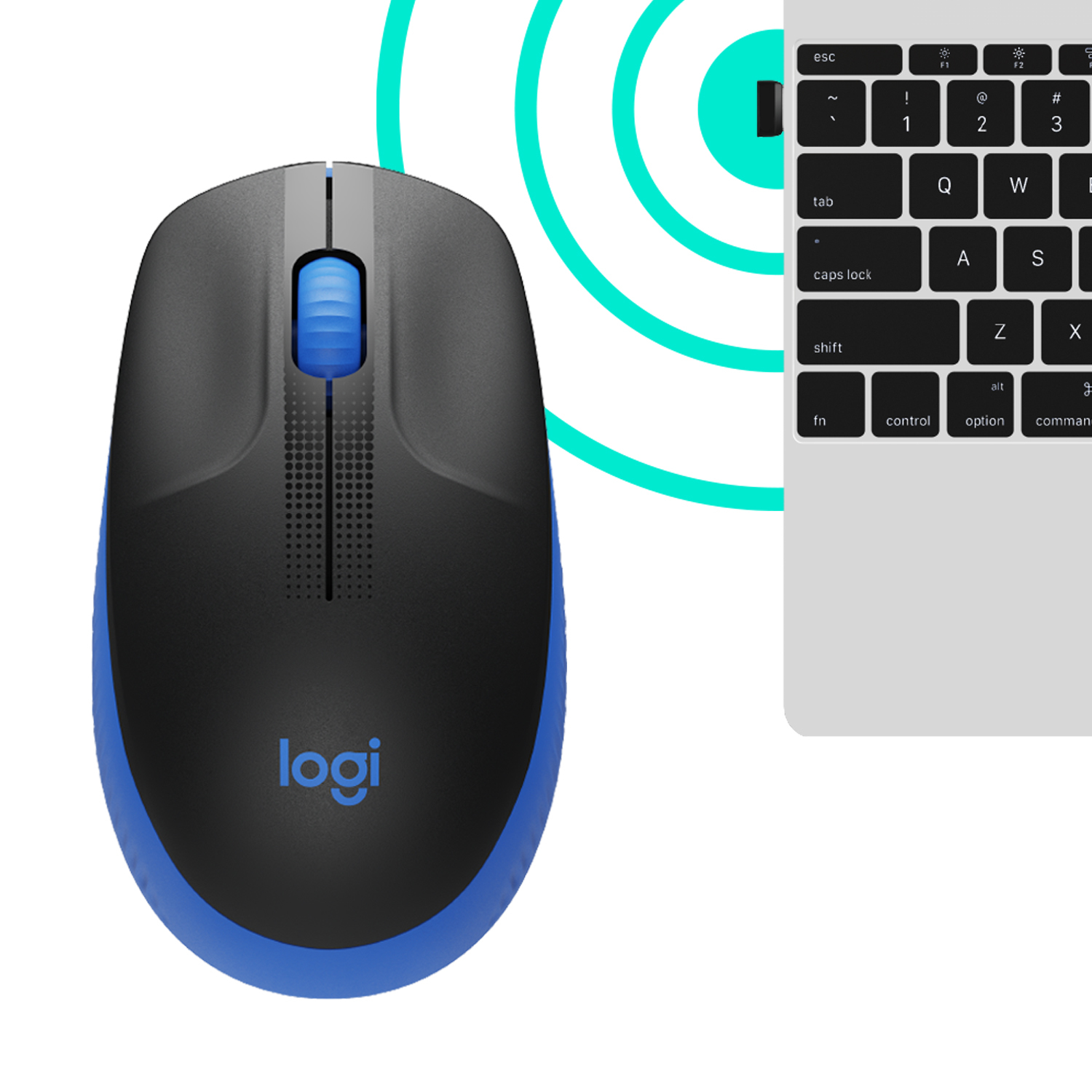 Schwarze und blaue Logitech-Maus, mit einer teilweise sichtbaren Tastatur auf der rechten Seite.