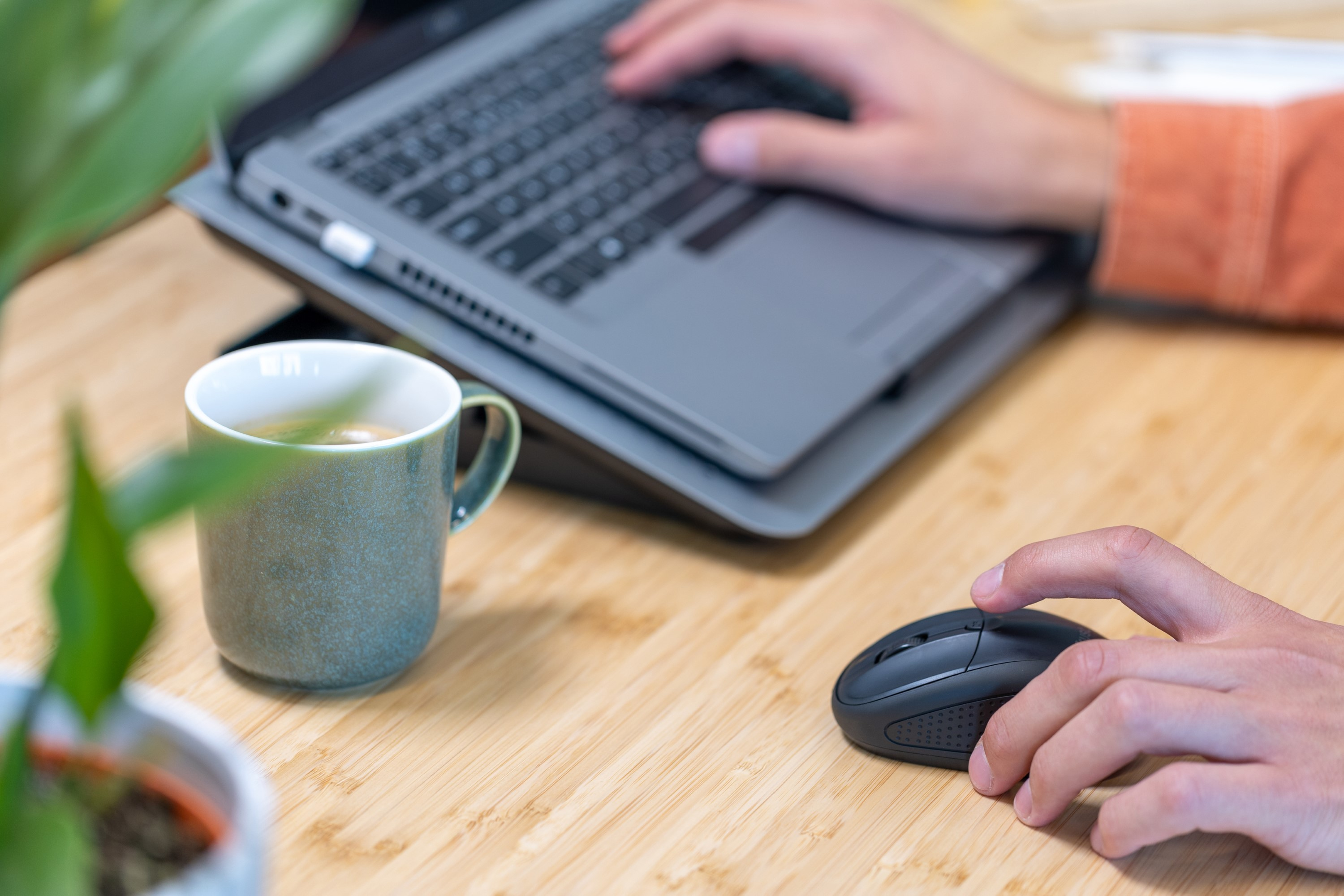 Les mains d'une personne utilisent un ordinateur portable et une souris. Une tasse de thé et une plante sont sur le bureau.