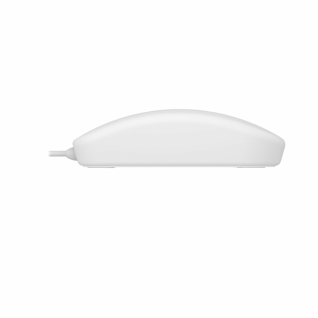 Un ratón de ordenador blanco con una parte superior curvada y un cable. El fondo es blanco liso.