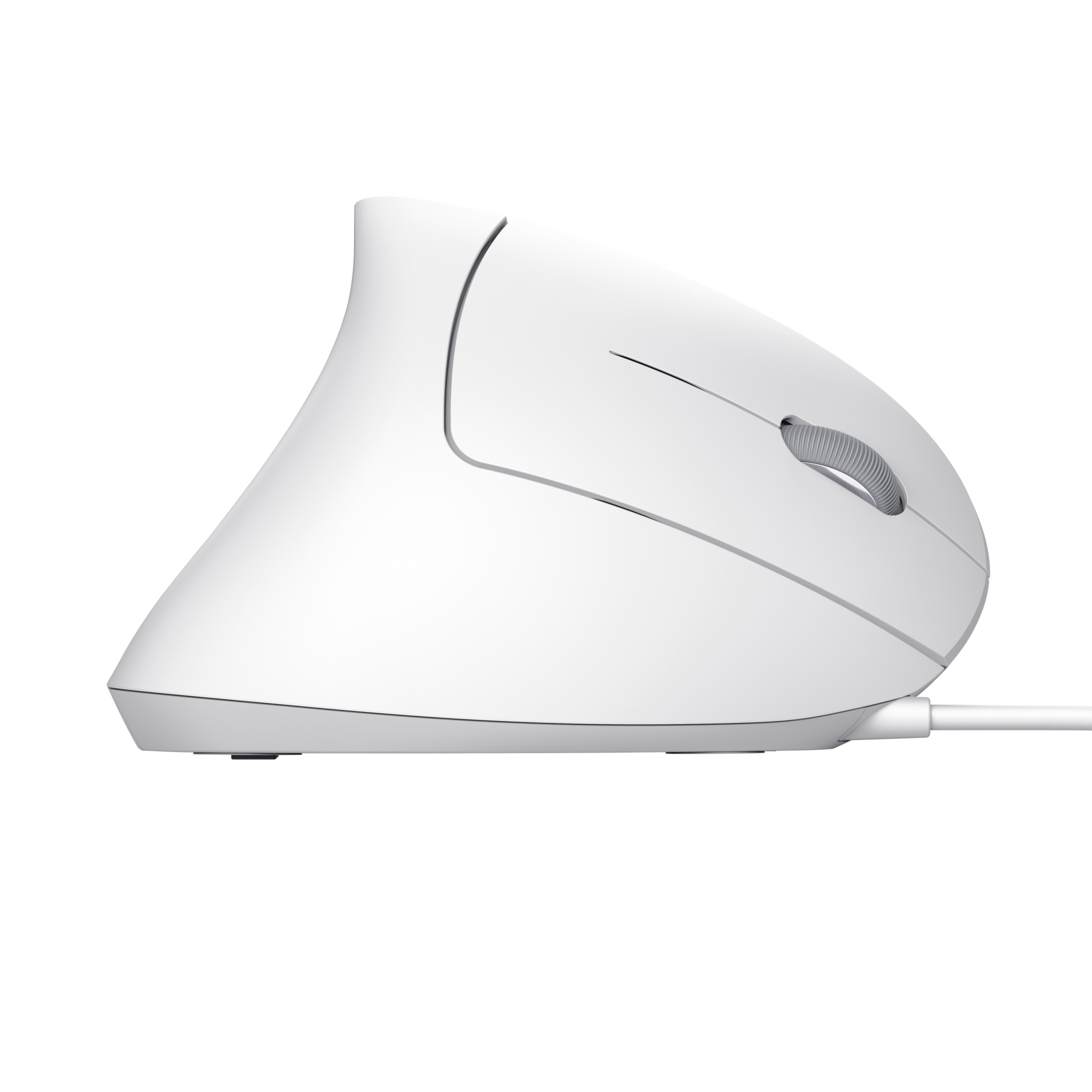 Biała mysz pionowa, widok z boku, na czarnym tle.