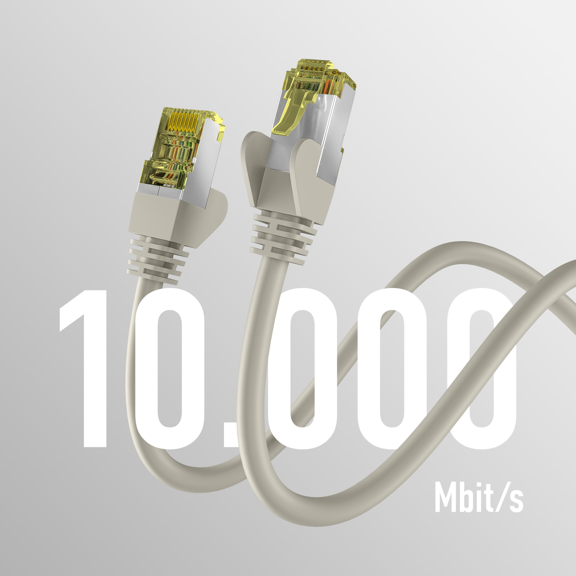 Zwei graue Netzwerkkabel mit gelben Steckern und Text '10.000 Mbit/s'.