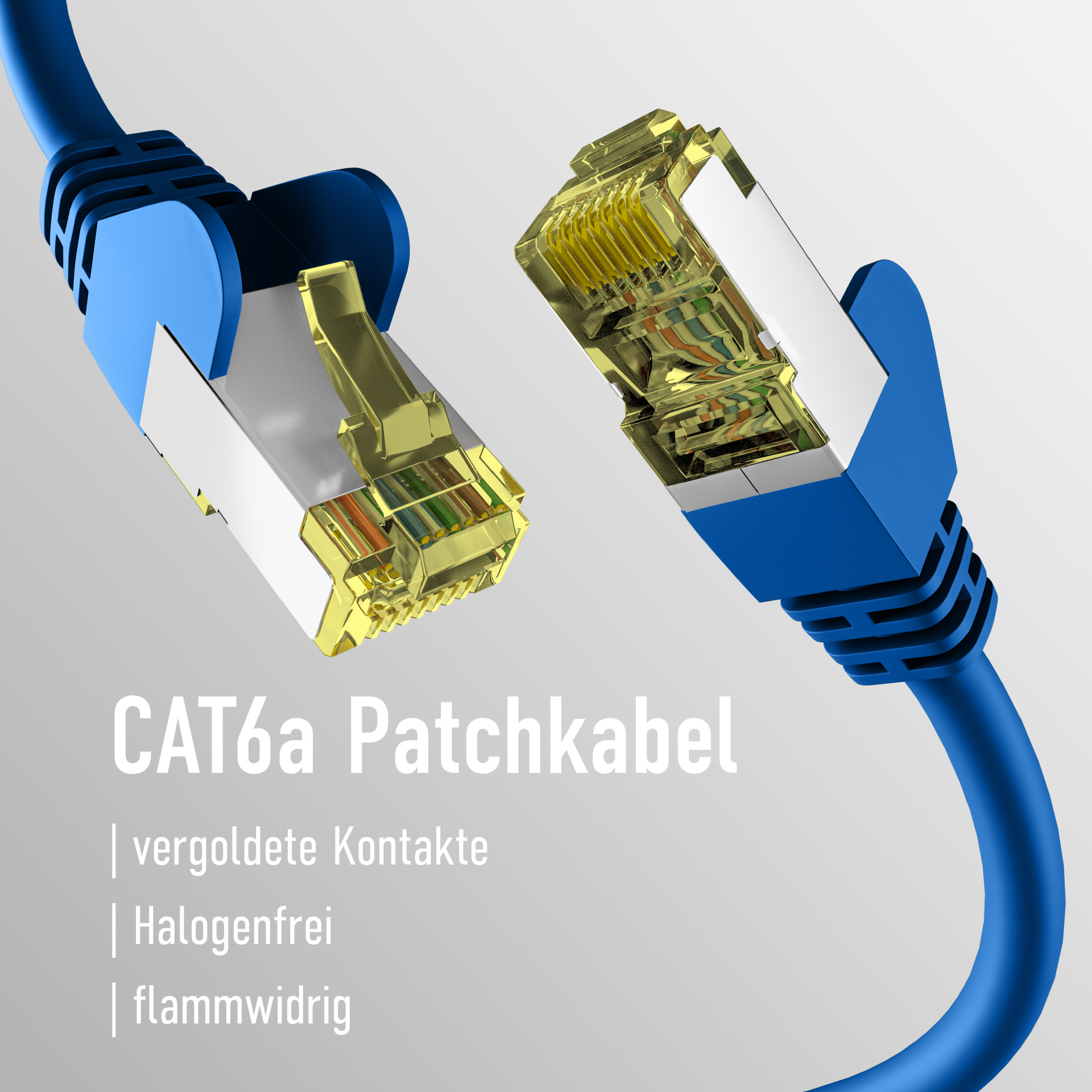 Zwei blaue CAT6a-Ethernet-Kabel mit Steckern. Text: CAT6a Patchkabel mit Spezifikationen.