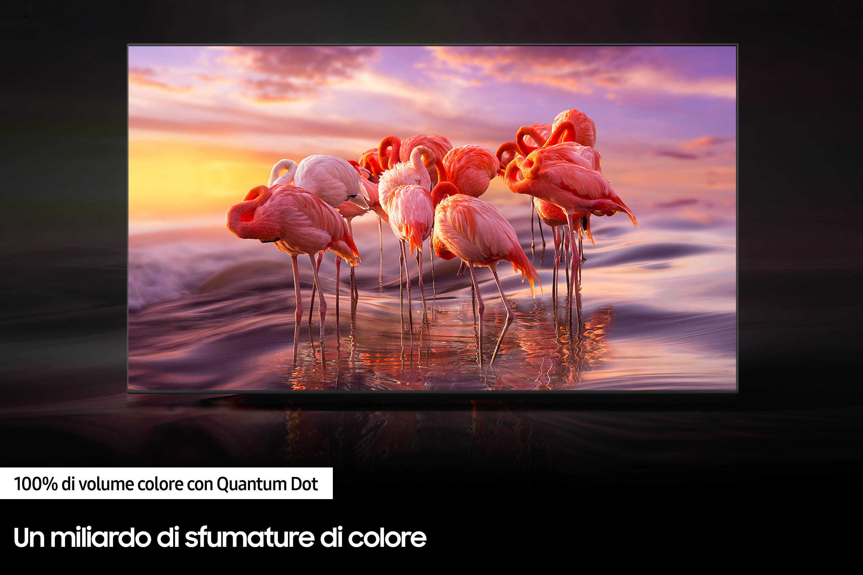 Ein Fernsehbildschirm mit Flamingos im Wasser bei Sonnenuntergang, mit italienischem Text unten.