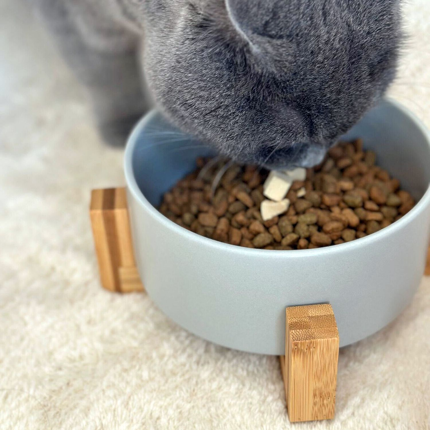 Eine graue Katze frisst Trockenfutter aus einer blauen Schüssel auf einem weißen Teppich, der von Holzbeinen getragen wird.