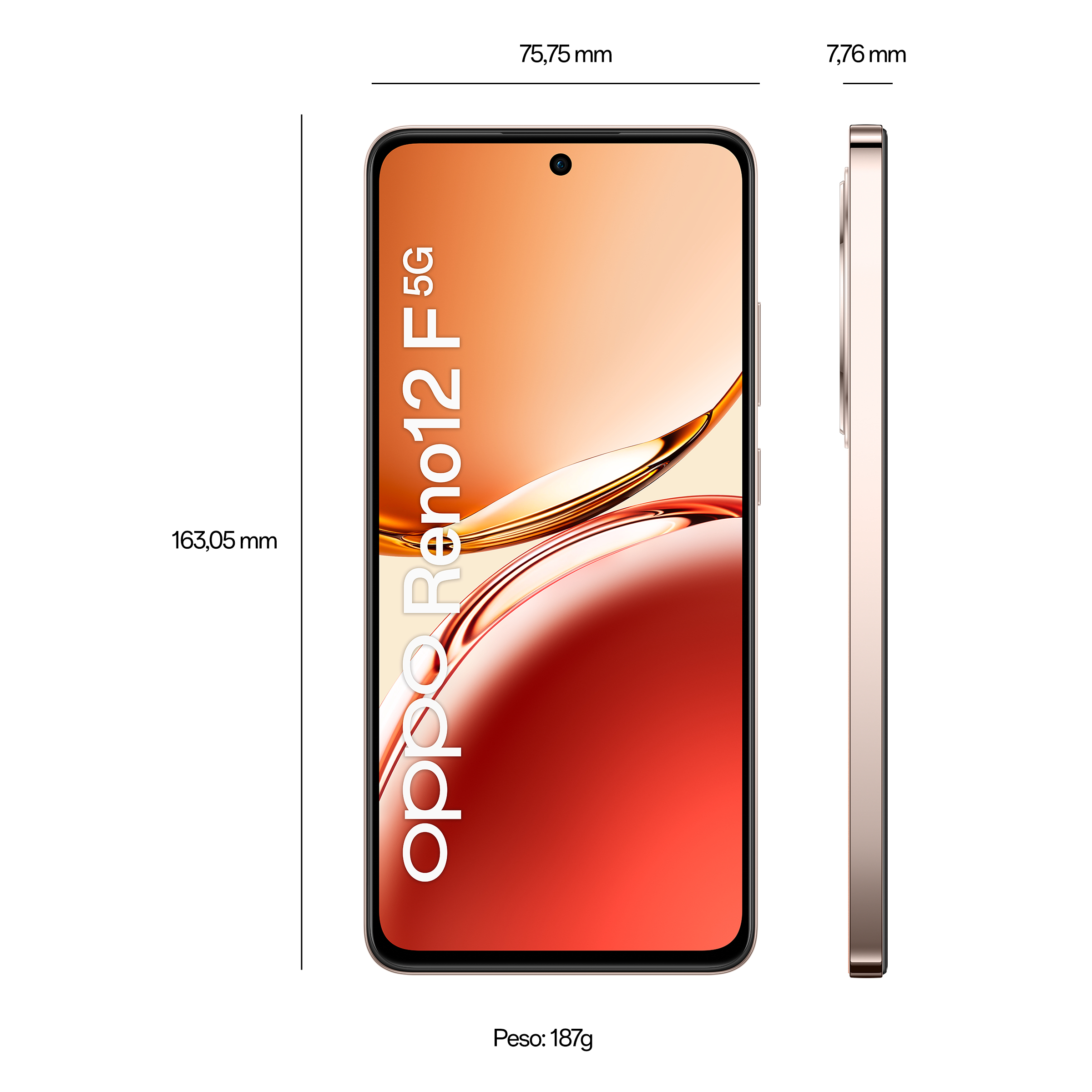Smartphone dorato, schermo che mostra Oppo Reno12 F5G, dimensioni e peso.