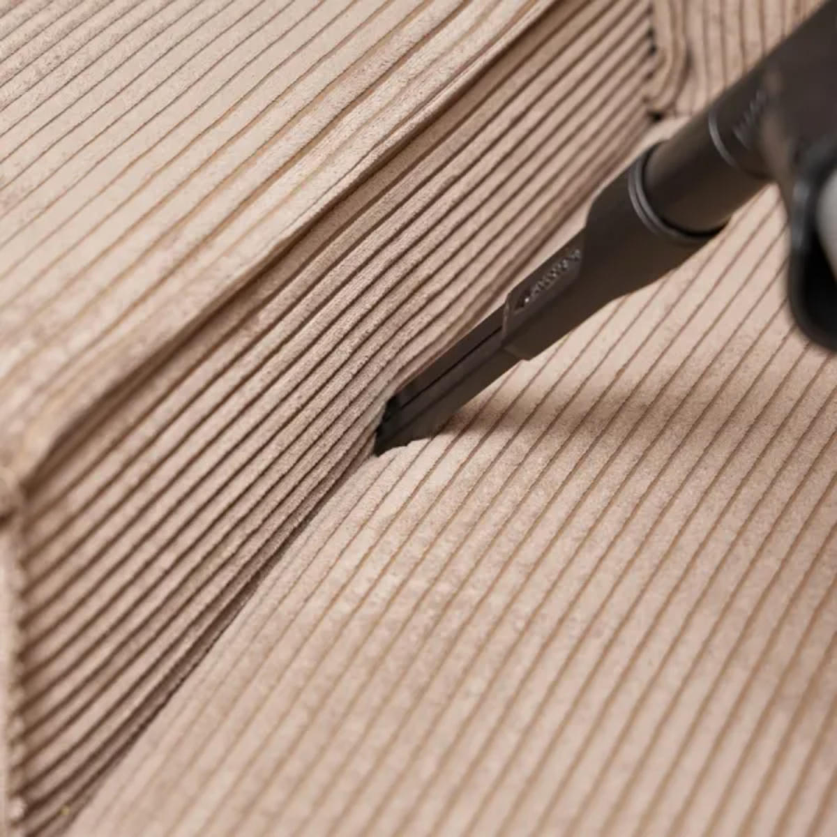 Staubsaugerkopf reinigt Cord-Sofa. Der Fokus liegt auf der Reinigungsaktion.