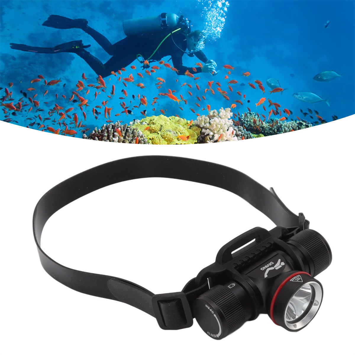 Ein Taucher im Ozean mit einer Stirnlampe. Rote und orange Fische schwimmen um ihn herum.