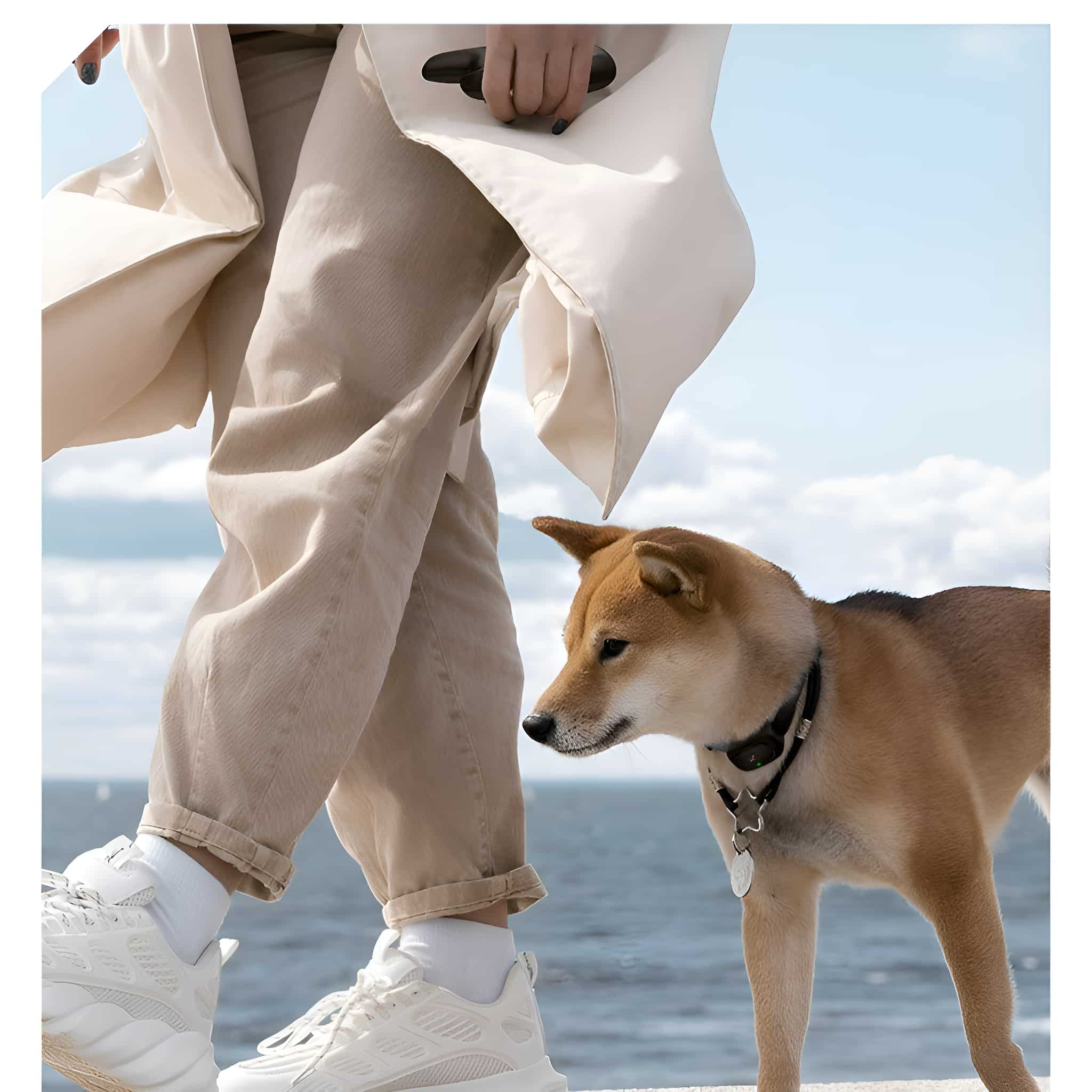 Eine Frau geht mit einem Hund spazieren. Der Hund ist ein Shiba Inu, mit Halsband.