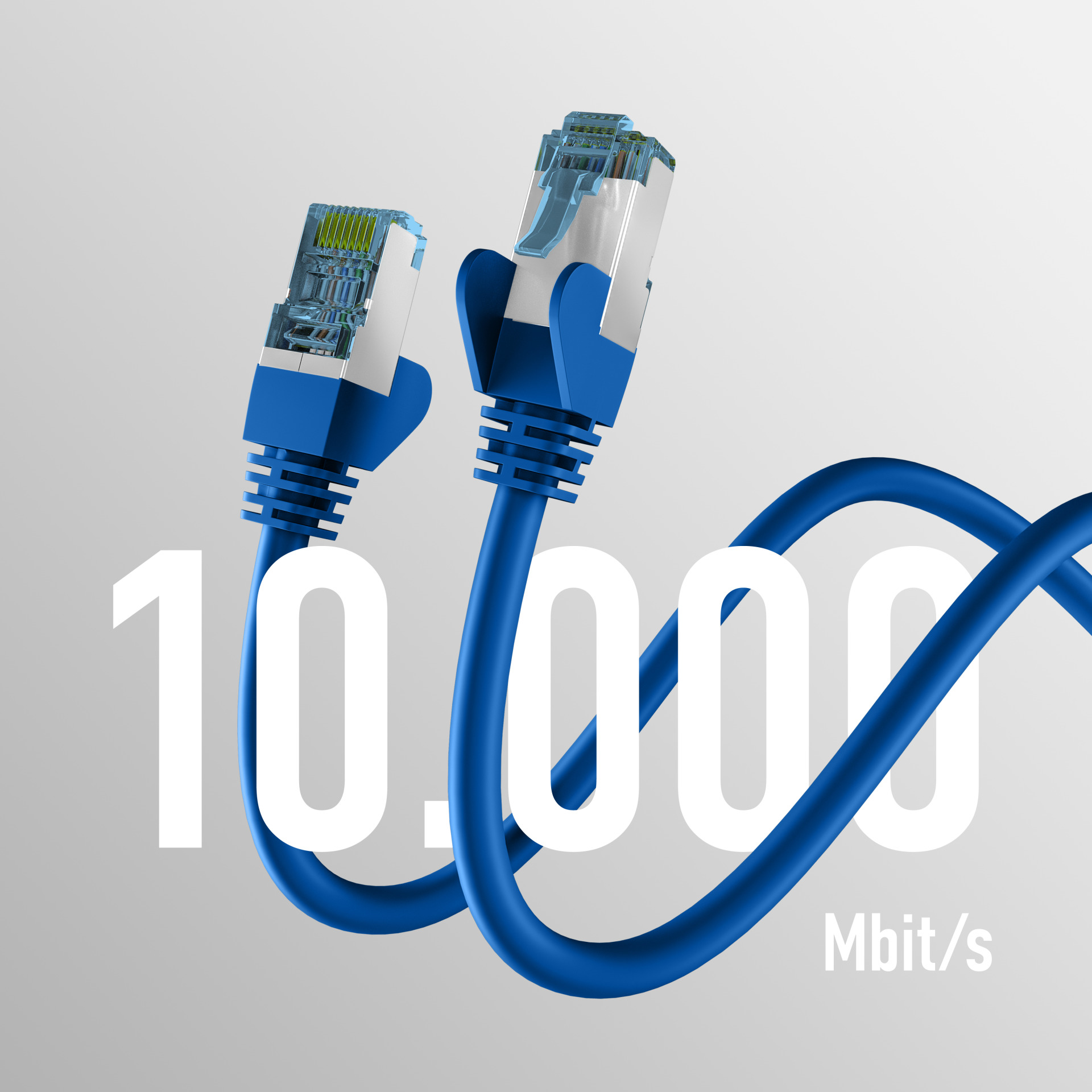 Zwei blaue Netzwerkkabel mit RJ45-Anschlüssen. Weißer Text sagt '10.000 Mbit/s' auf grauem Hintergrund.