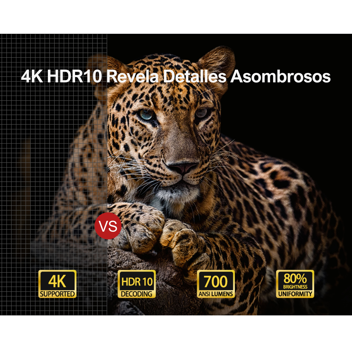Una imagen dividida que muestra la cara de un leopardo y una comparación visual.