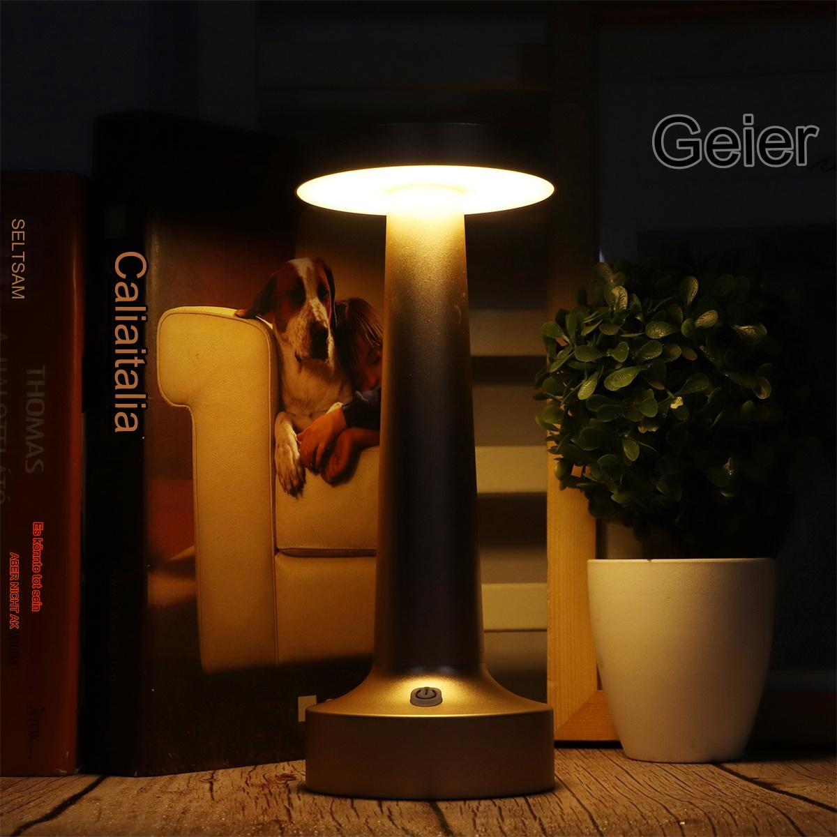 Eine beleuchtete Tischlampe mit rundem Oberteil. Ein Hundebild und eine Pflanze sind im Hintergrund.