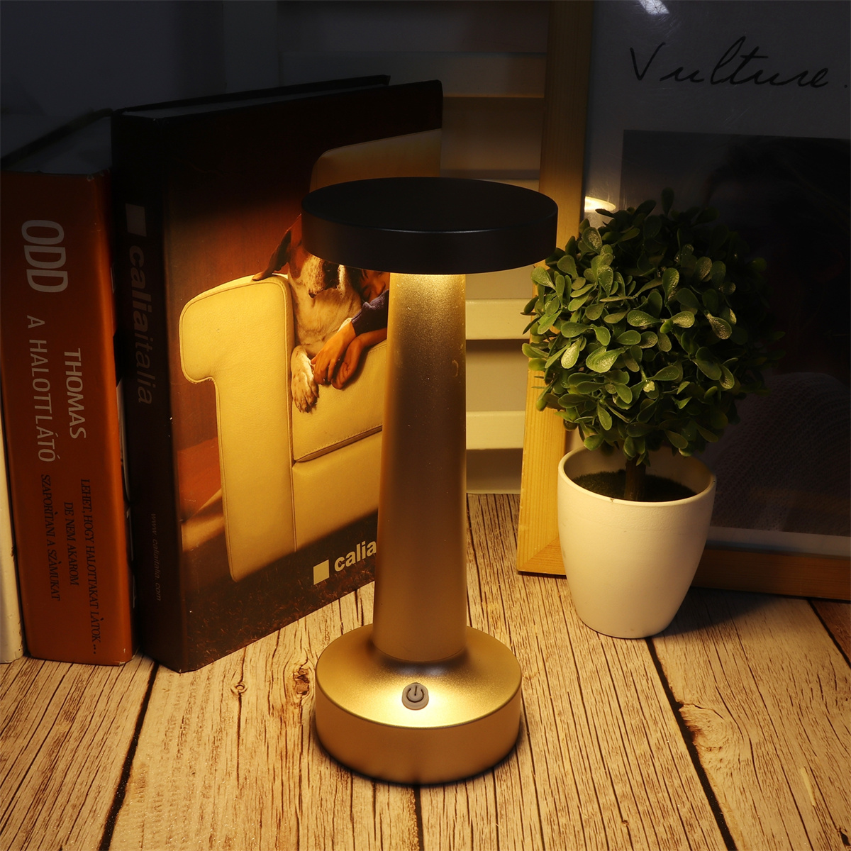 Eine goldene Lampe auf einem Holztisch. Bücher und eine Pflanze neben der Lampe.