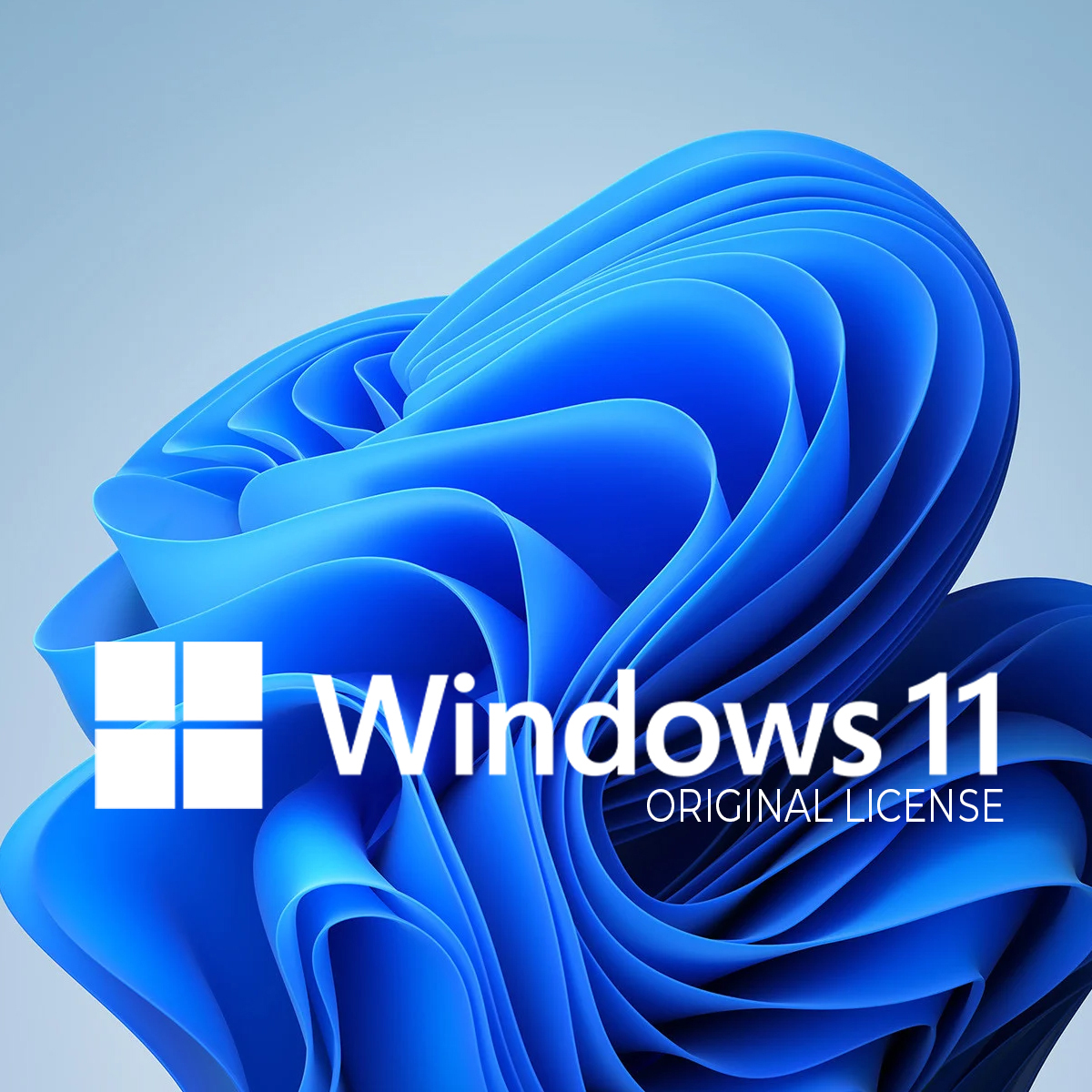 Logo Windows 11 z napisem 'Windows 11 ORIGINAL LICENSE' na niebieskim tle.