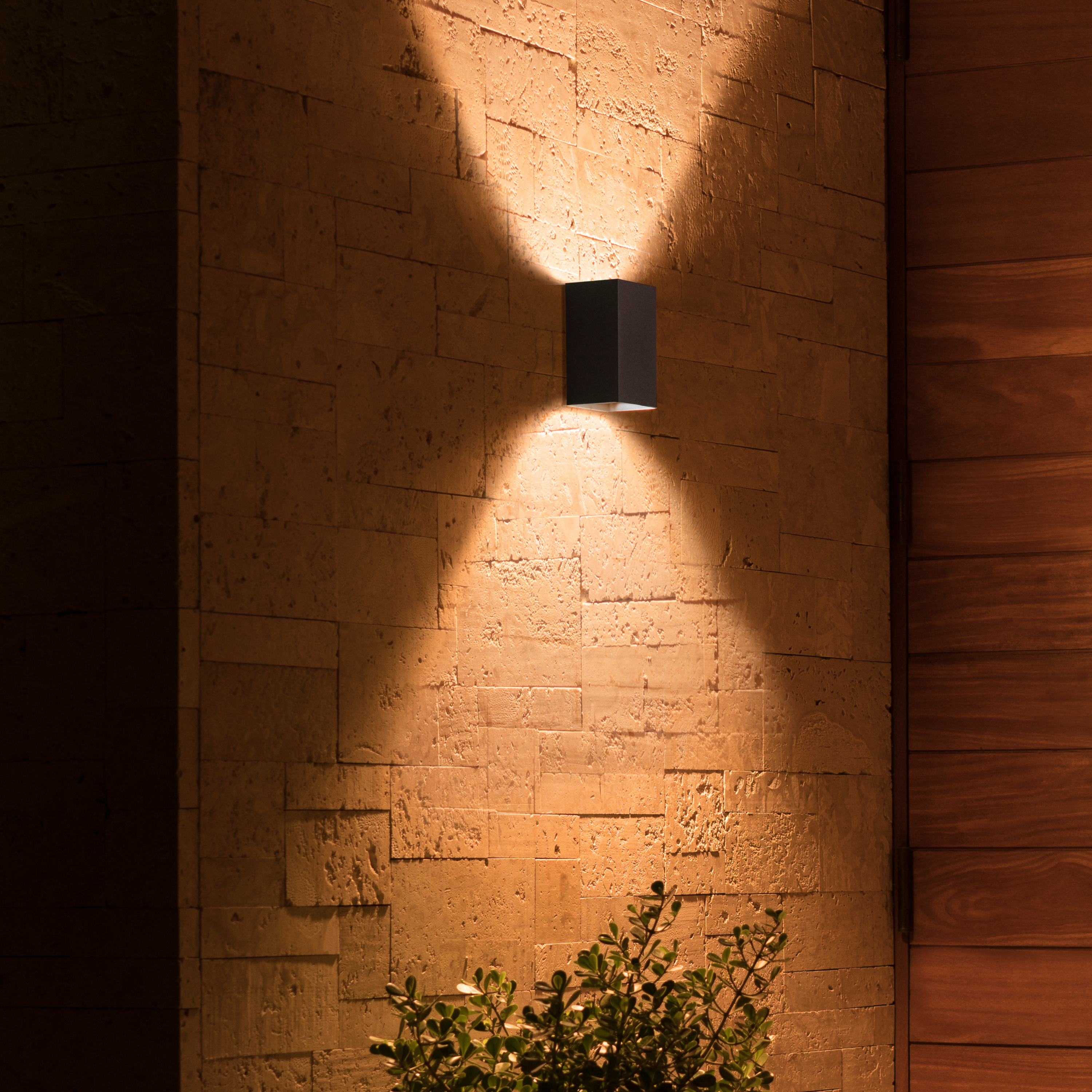 Zwarte wandlamp op een getextureerde stenen muur, groene plant op de voorgrond.
