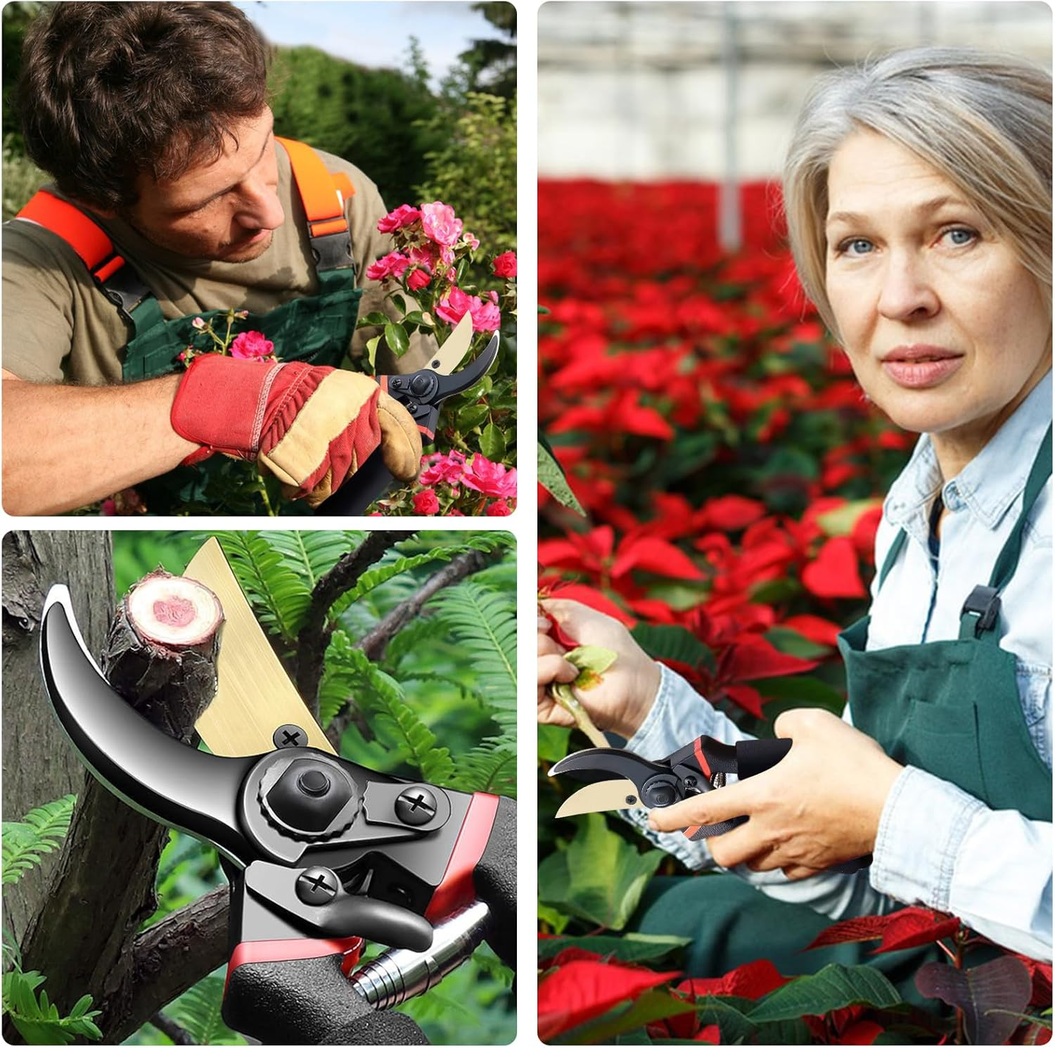 Eine Collage von Bildern. Ein Mann beschneidet Rosen. Eine Frau beschneidet Blumen. Nahaufnahme einer Gartenschere.