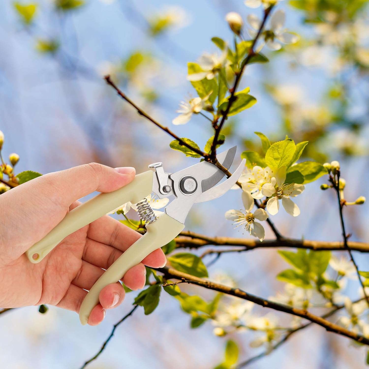 Eine Hand, die eine Gartenschere in der Nähe eines blühenden Zweigs mit blauem Himmel hält.
