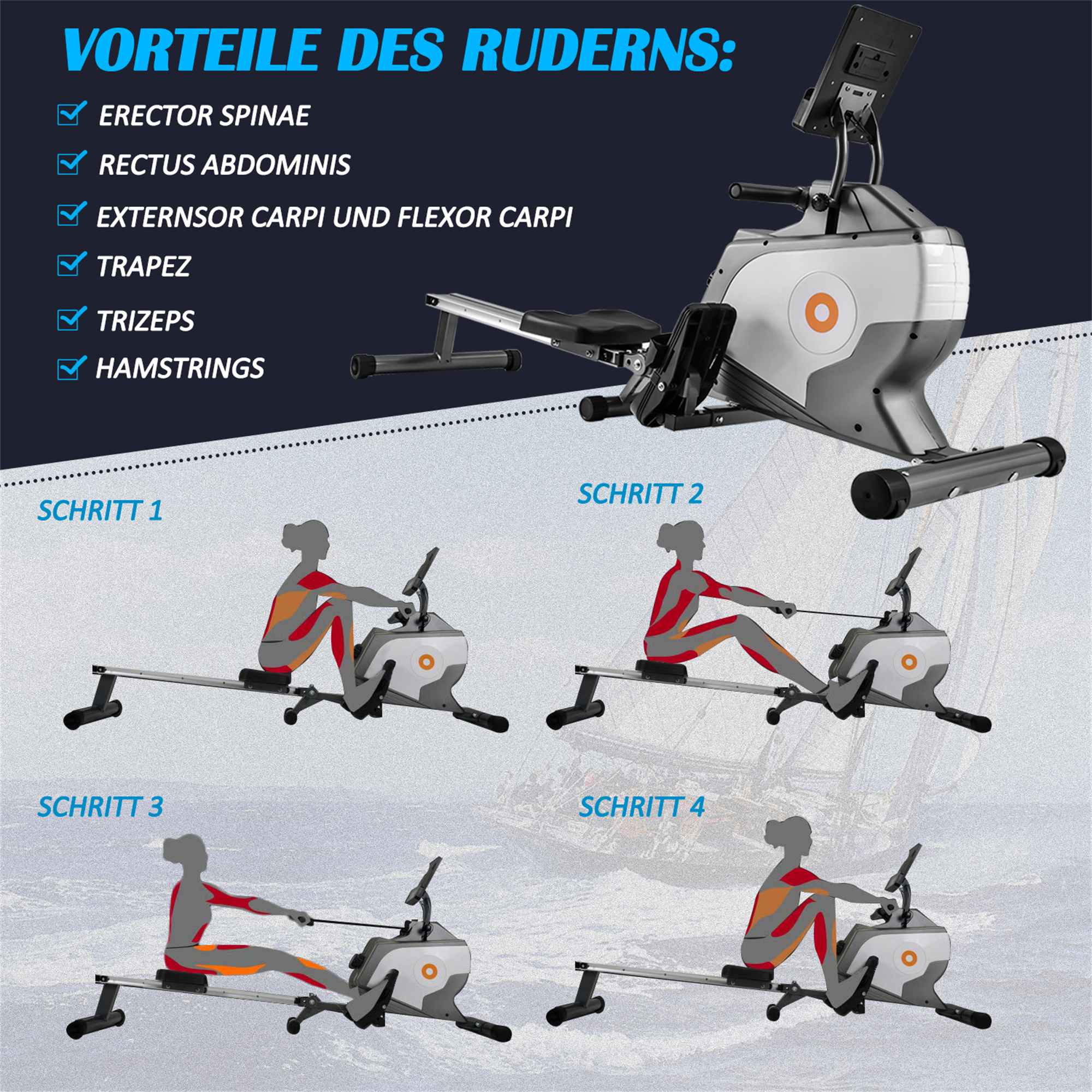 Rudergerät mit Illustrationen von Ruderschritten und den Vorteilen. Die Vorteile sind in einer Box aufgeführt.
