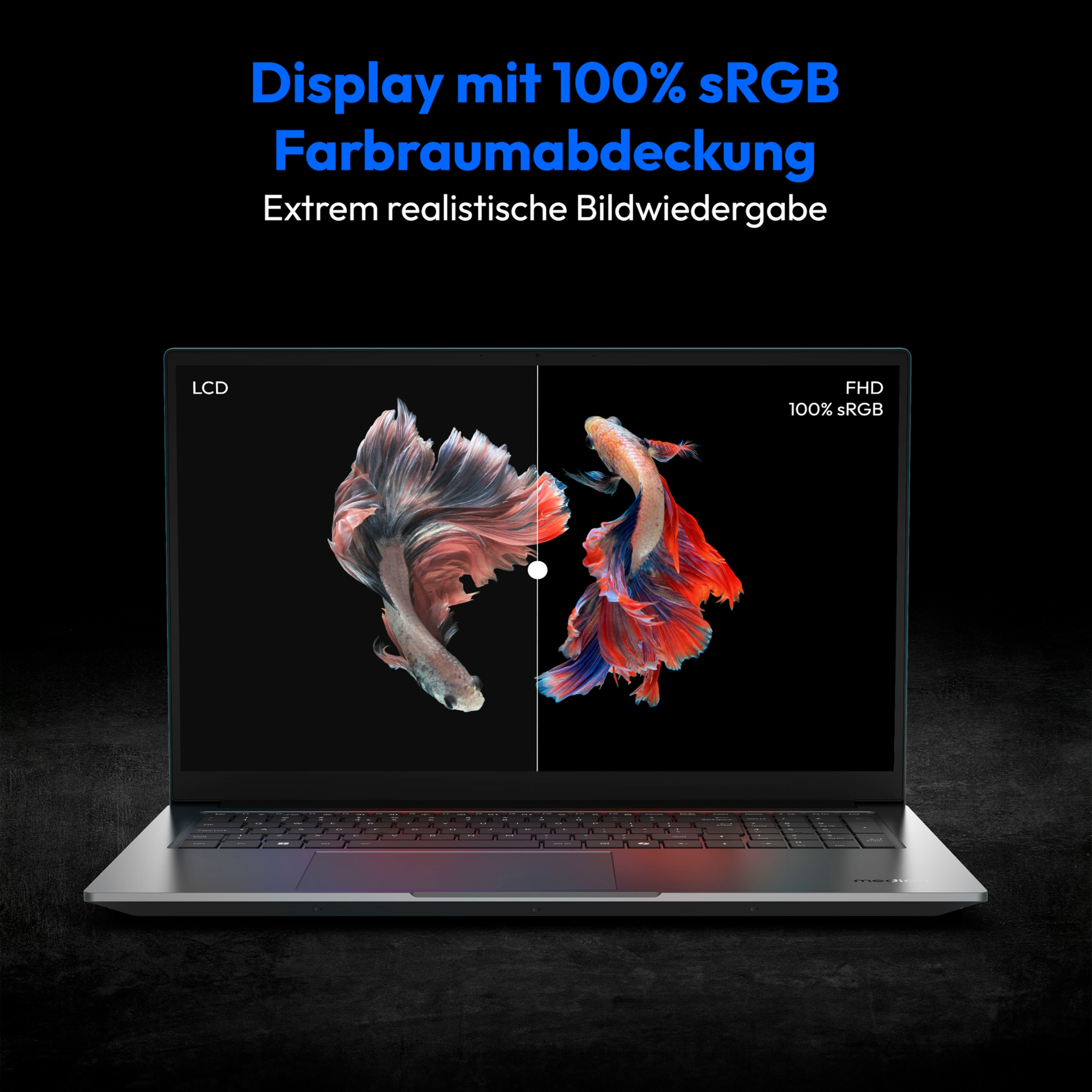 Ein Laptop-Bildschirm, der in zwei Teile geteilt ist. Eine Seite zeigt einen Fisch, die andere einen farbenfroheren Fisch.