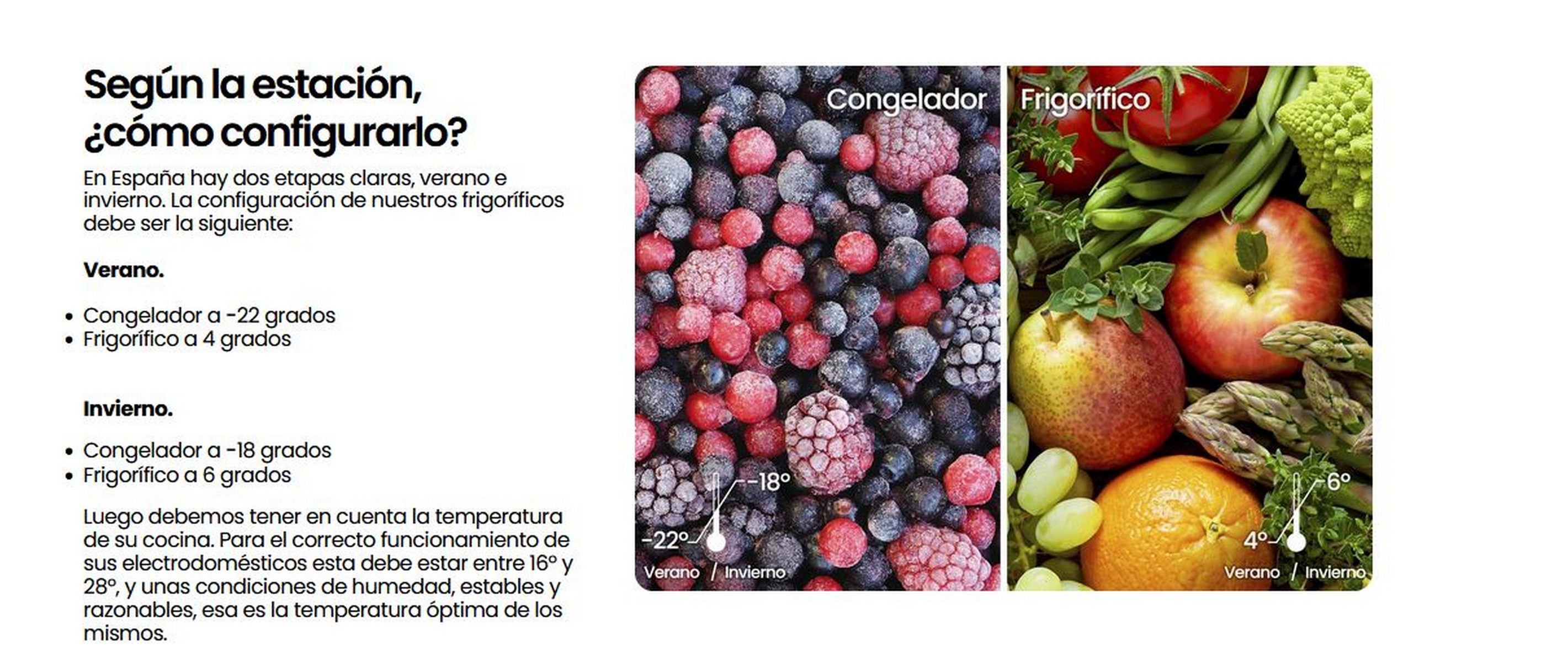 Diagrama que muestra la configuración estacional del refrigerador. Frutas y bayas.