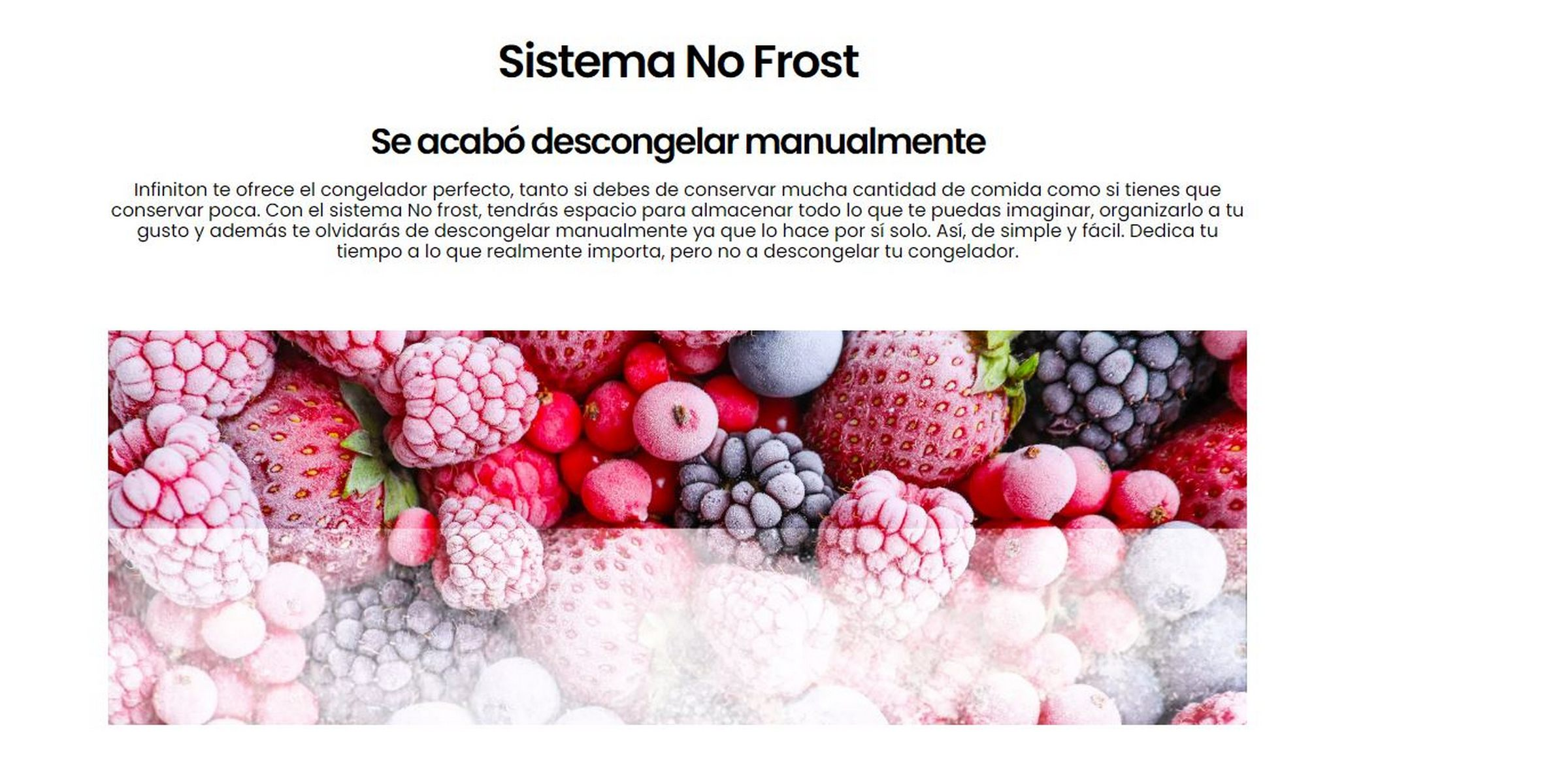 Primer plano de bayas mixtas con texto. El texto dice: "Sistema No Frost" y otros detalles.