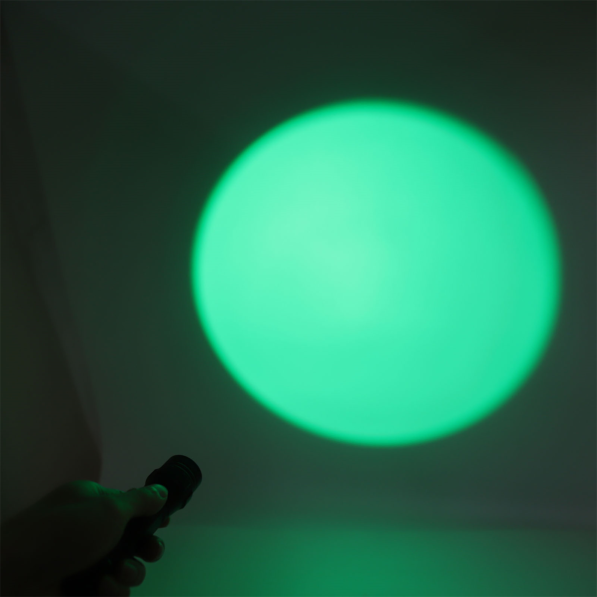 Eine Hand hält eine Taschenlampe und beleuchtet einen grünen Kreis an einer weißen Wand.