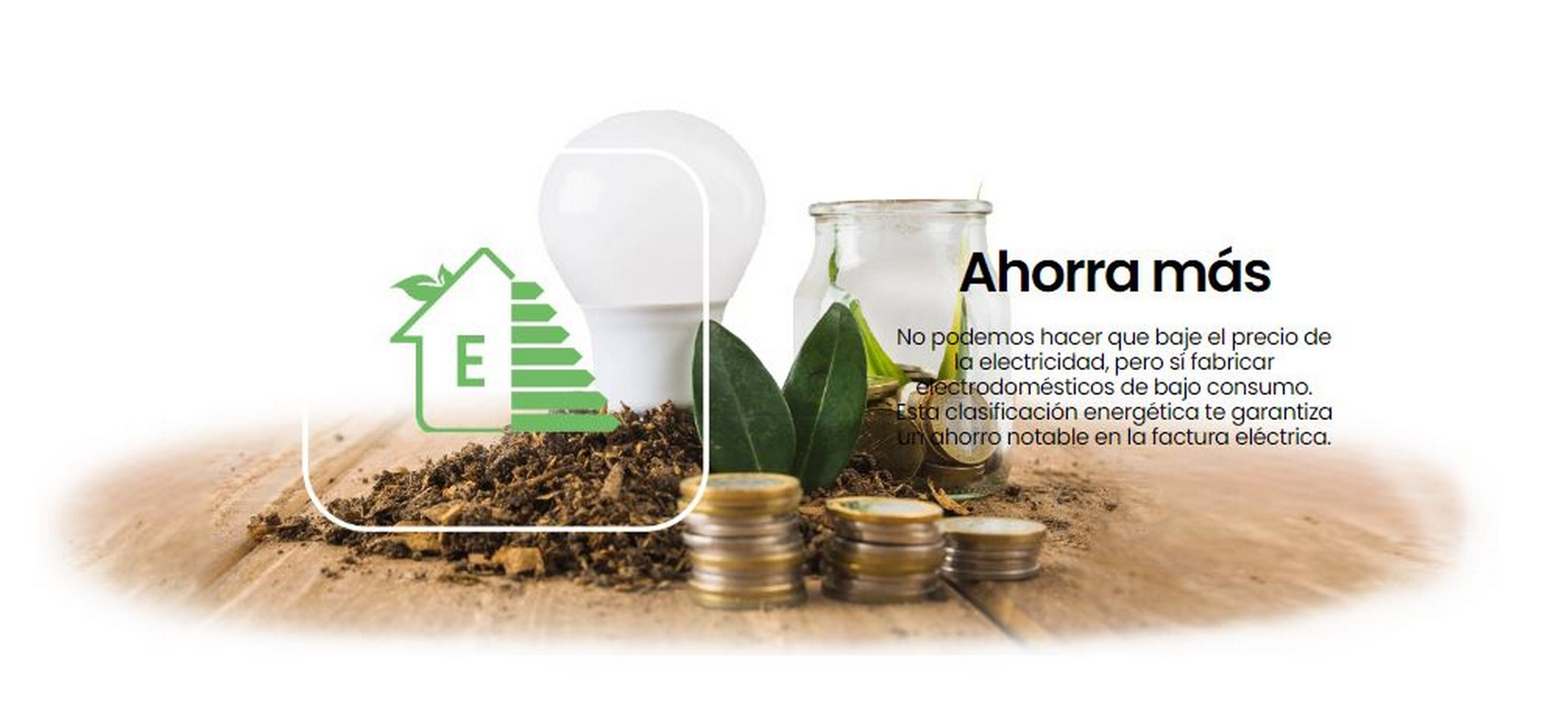 Imagen con texto. Bombilla de ahorro energético, monedas, tierra, hojas. Texto: Ahorra más, clase E.