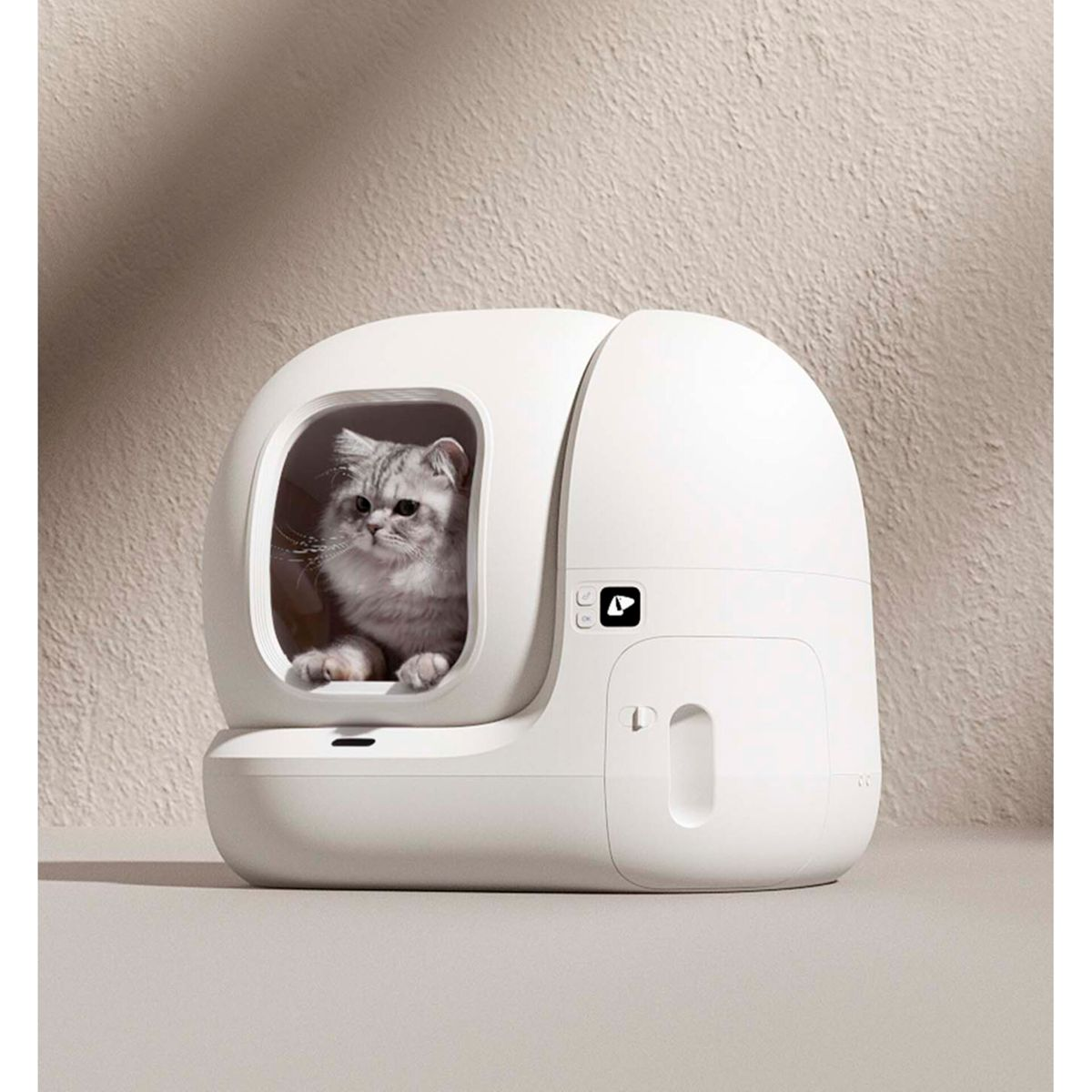 Beyaz, modern bir kedi tuvaletinin içinde oturan bir kedi.