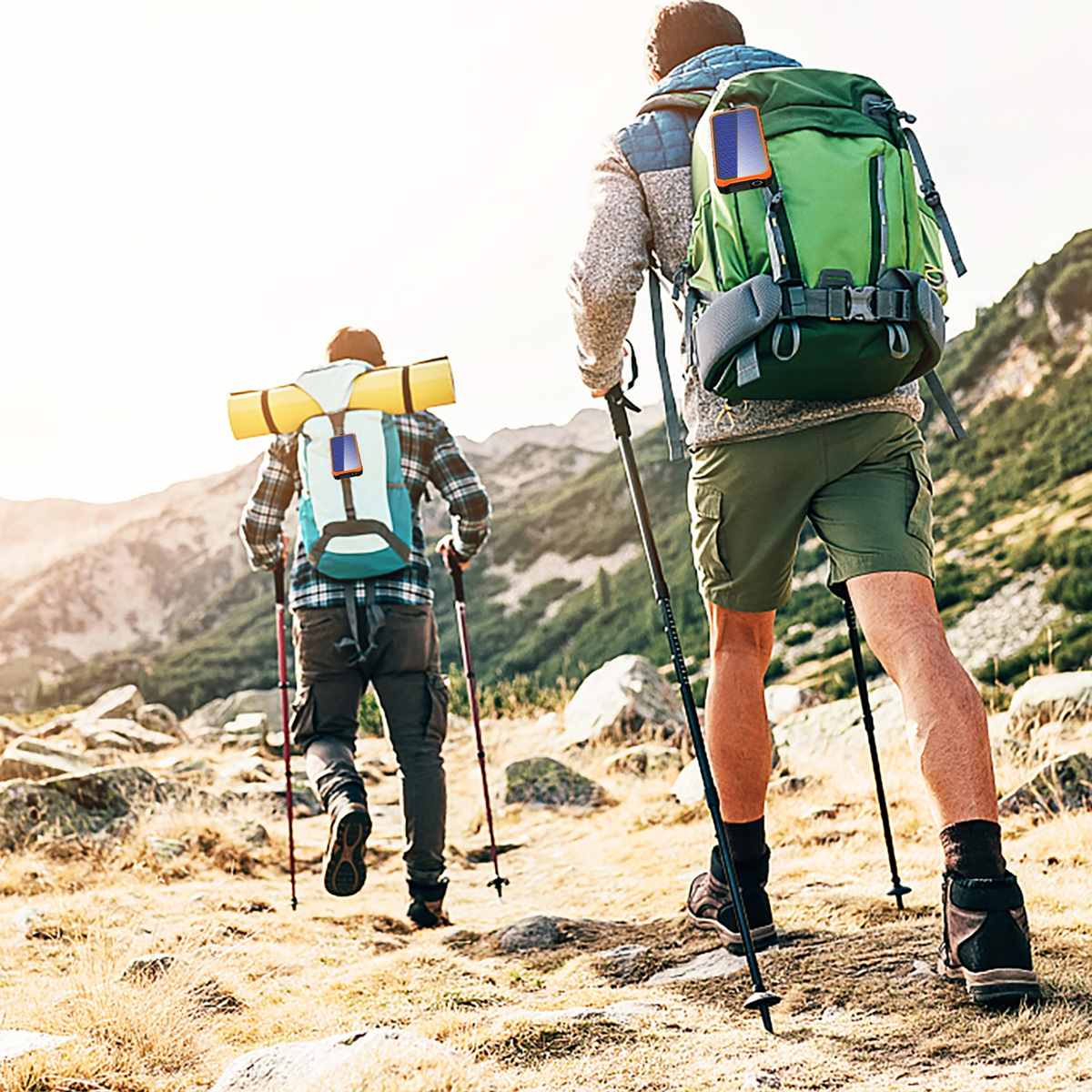 Zwei Wanderer mit Rucksäcken und Wanderstöcken steigen an einem sonnigen Tag einen Bergpfad hinauf.