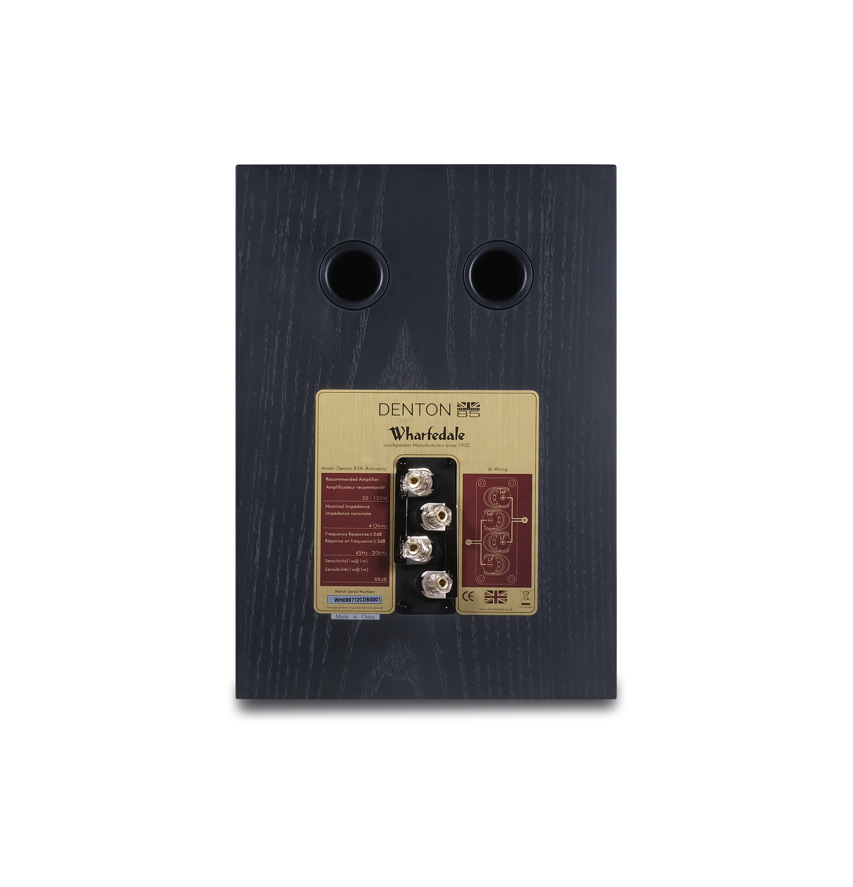 Zwart luidspreker achterpaneel. Gouden label met tekst en aansluitingen. Twee ronde gaten zichtbaar.
