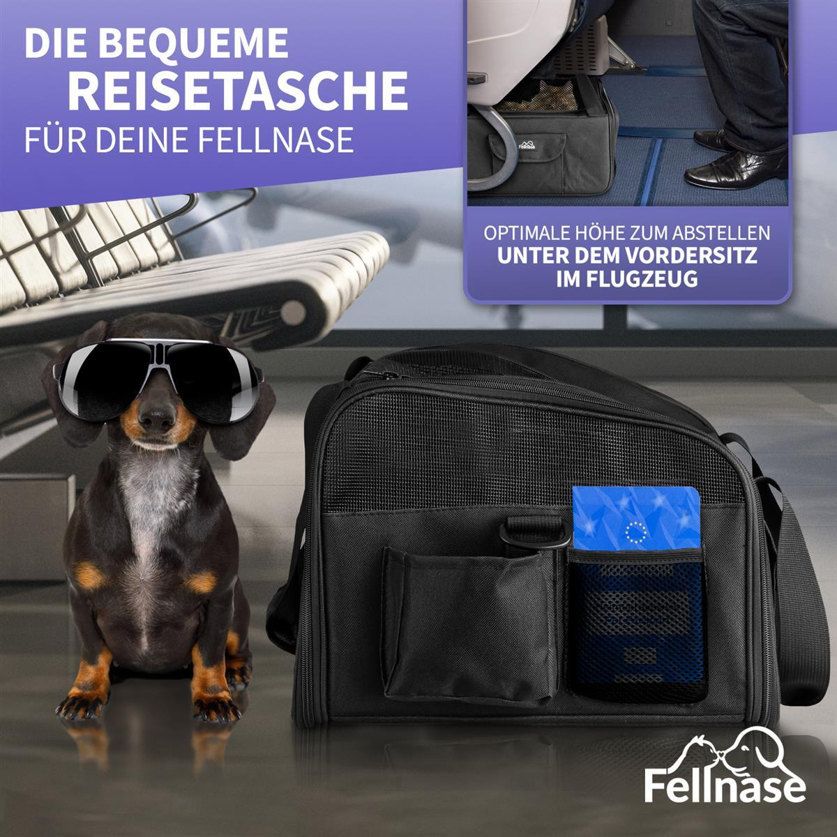 Hund mit Sonnenbrille neben Reisetasche. Text über komfortables Reisen.