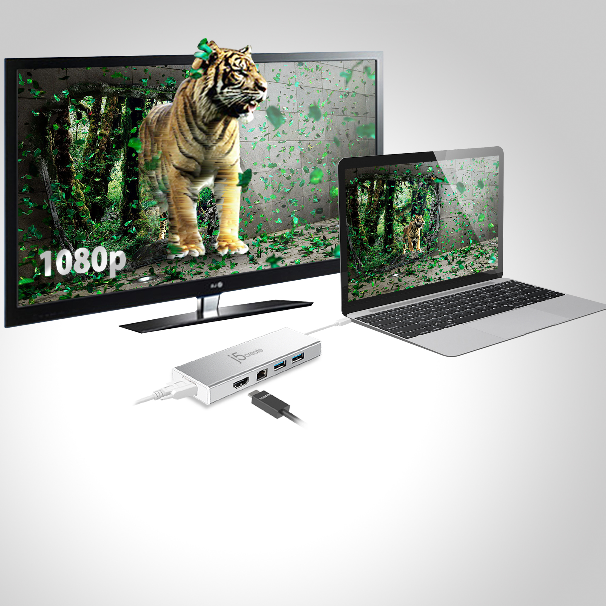 Laptop und Fernseher zeigen eine Dschungelszene. Ein Hub ist mit beiden Geräten verbunden.