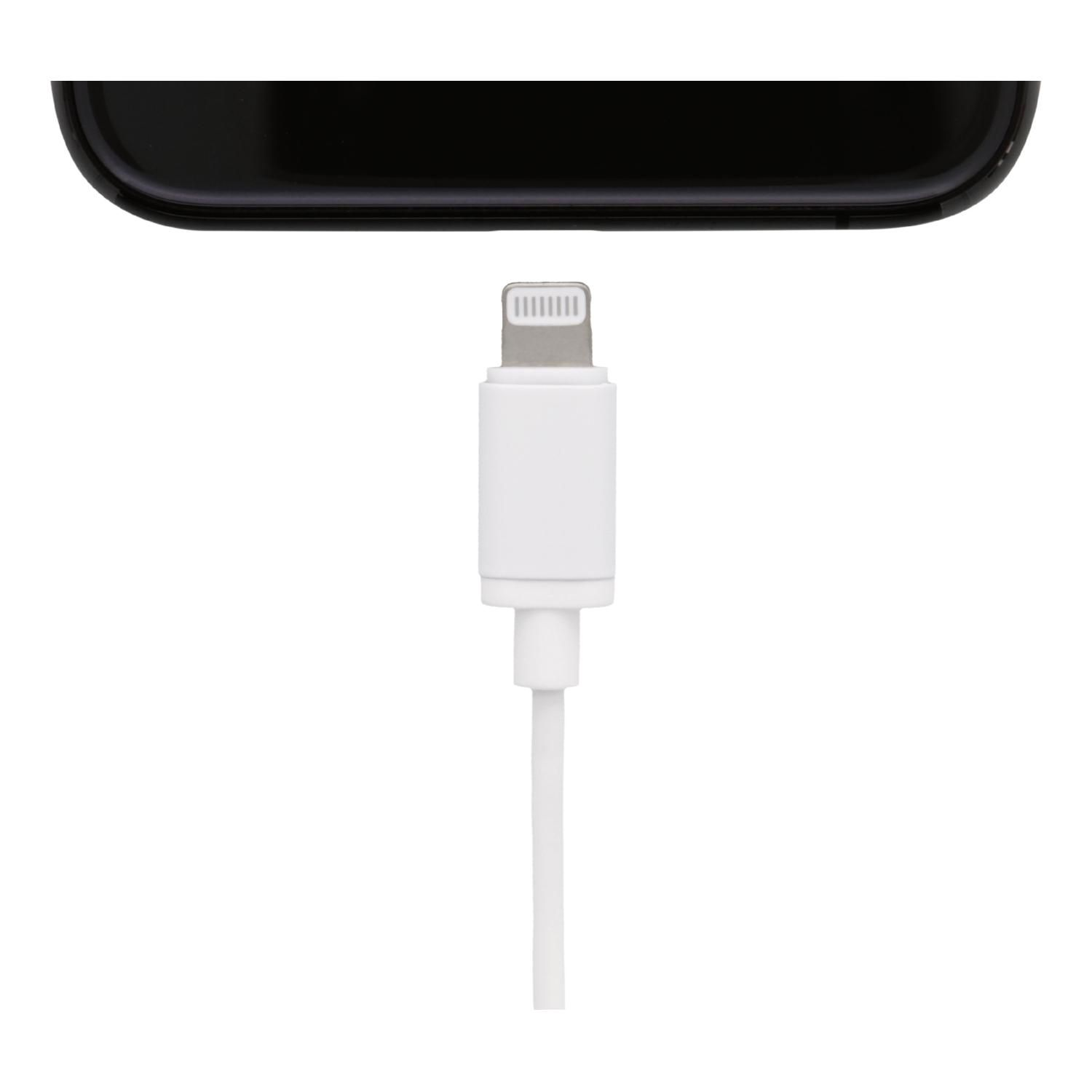 Cavo di ricarica bianco, connettore Lightning, telefono nero, sfondo bianco.