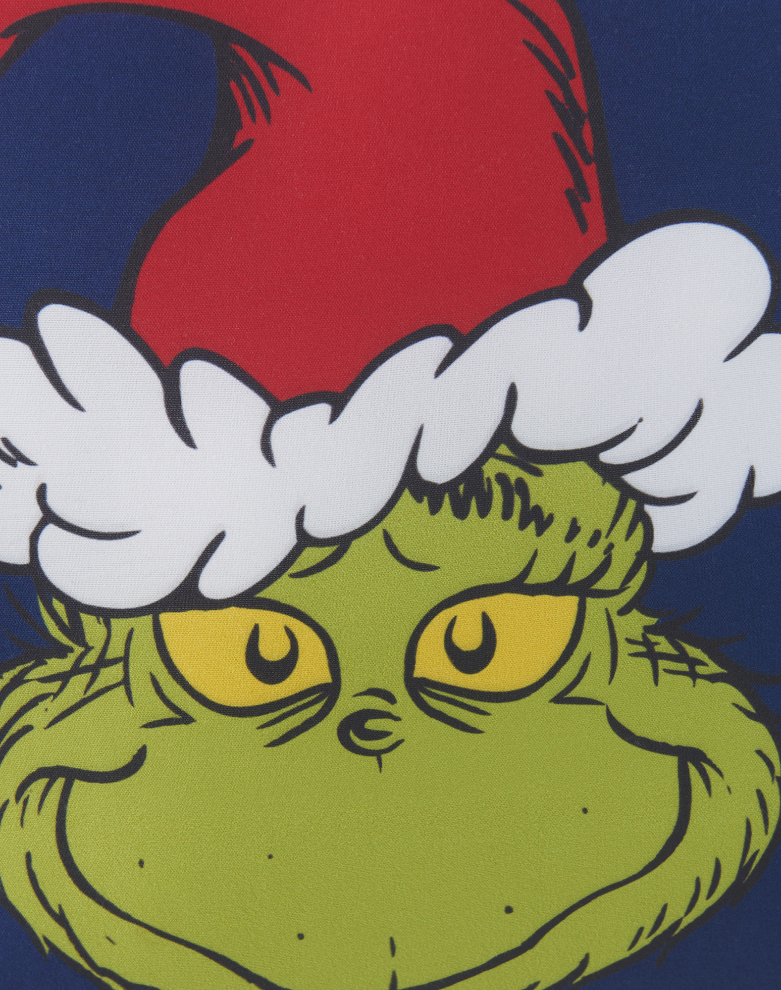 Nahaufnahme des Gesichts des Grinch, der einen Weihnachtsmannhut trägt, mit dunklem blauem Hintergrund.