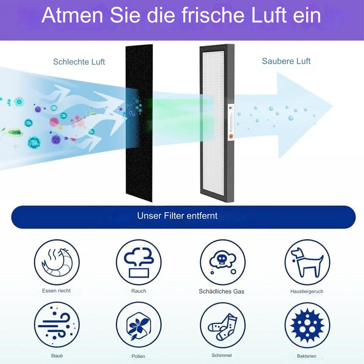 Diagramm zur Luftreinigung: schlechte Luft zu guter Luft, mit Symbolen für gefilterte Dinge.