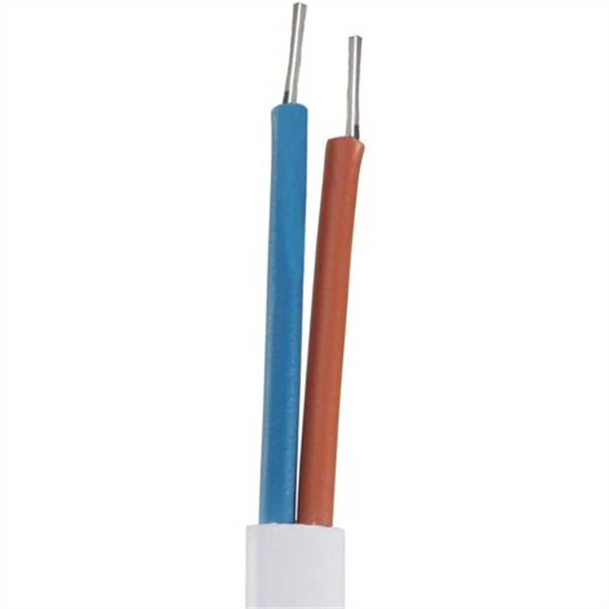Zwei elektrische Drähte, einer blau und einer braun, mit weißer Basis.
