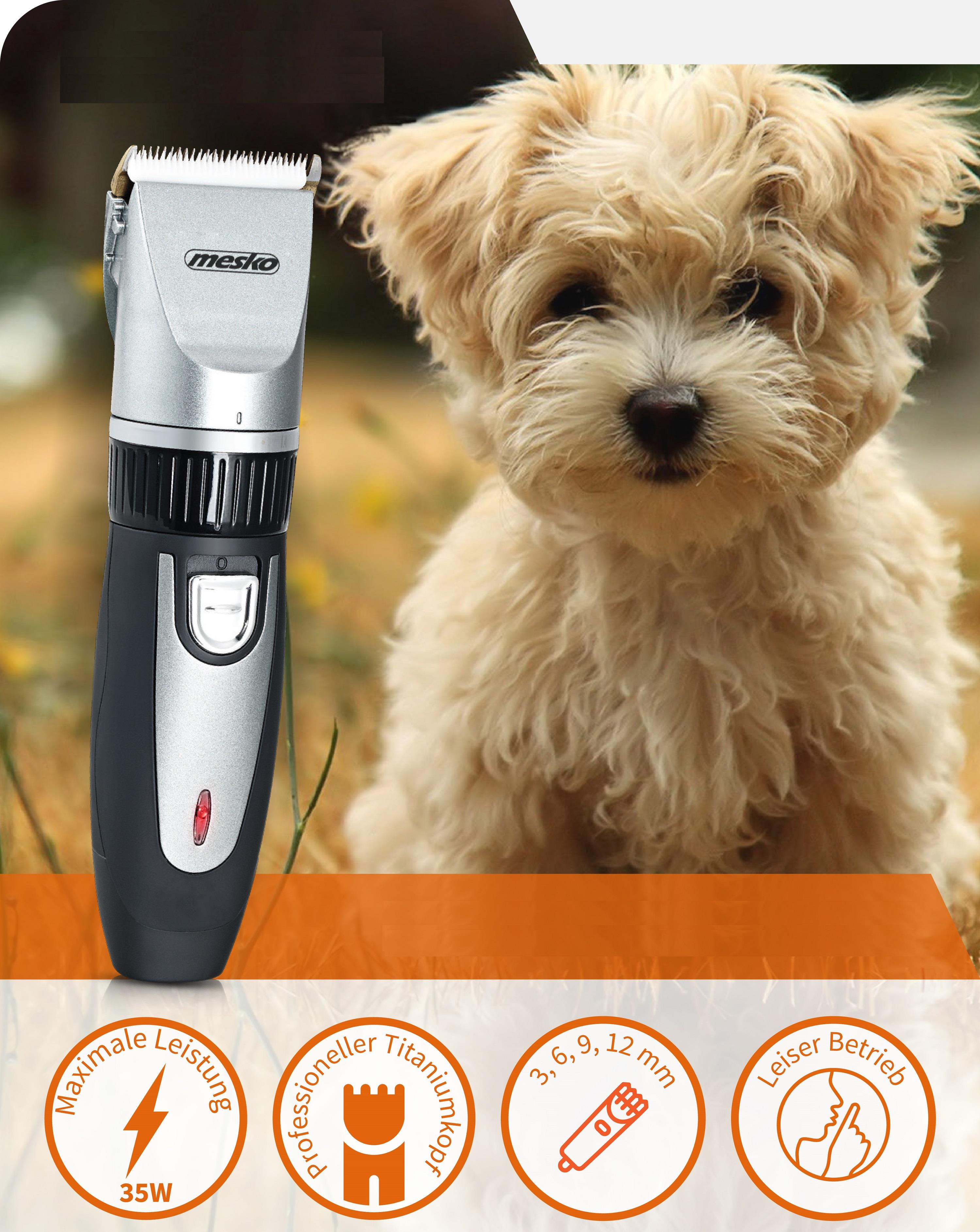Kit per la toelettatura dei cani con tosatrice e un cucciolo carino sullo sfondo. Il cane è beige.