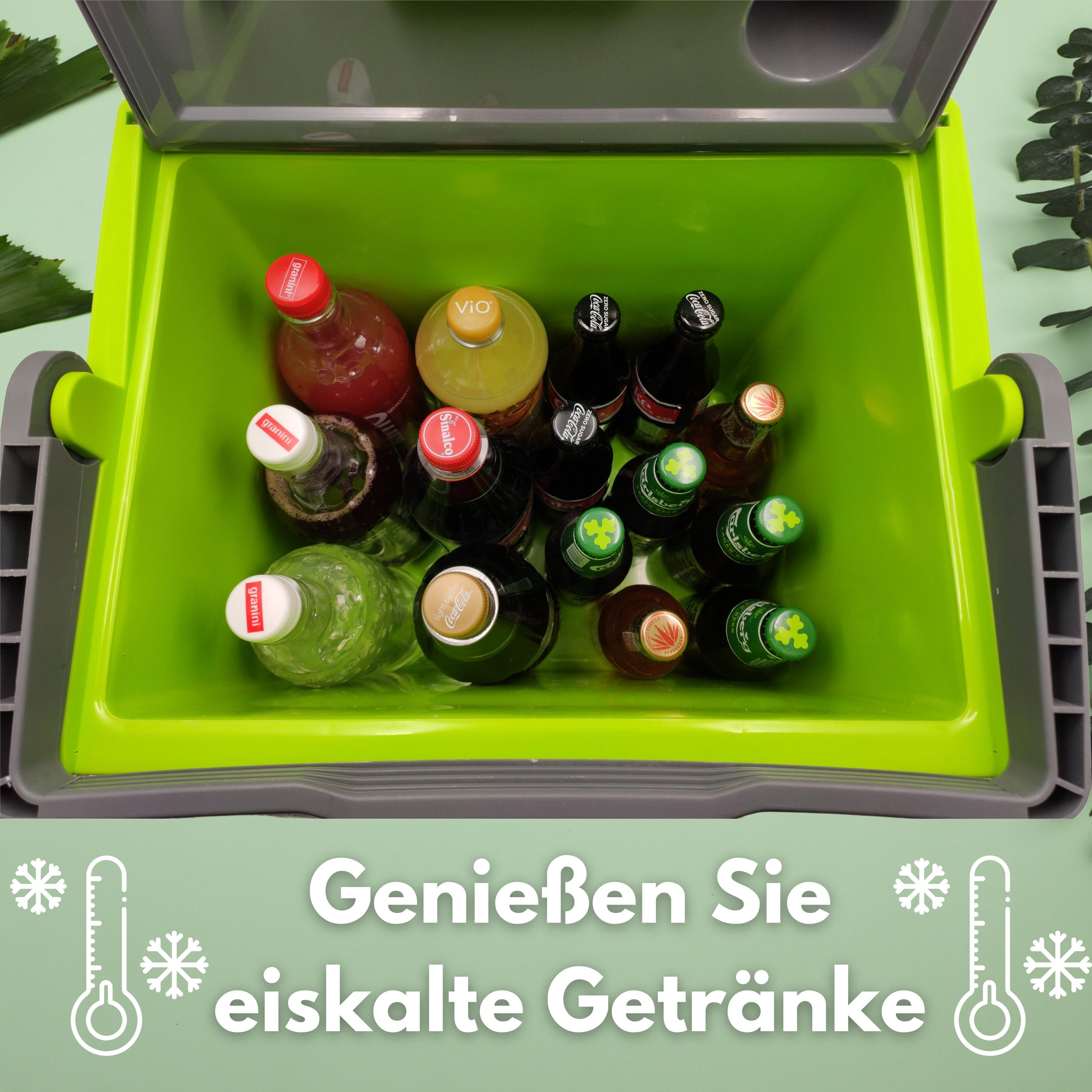 Ein offener grüner Kühler, gefüllt mit Getränkeflaschen, auf grüner Oberfläche, Text auf Deutsch.