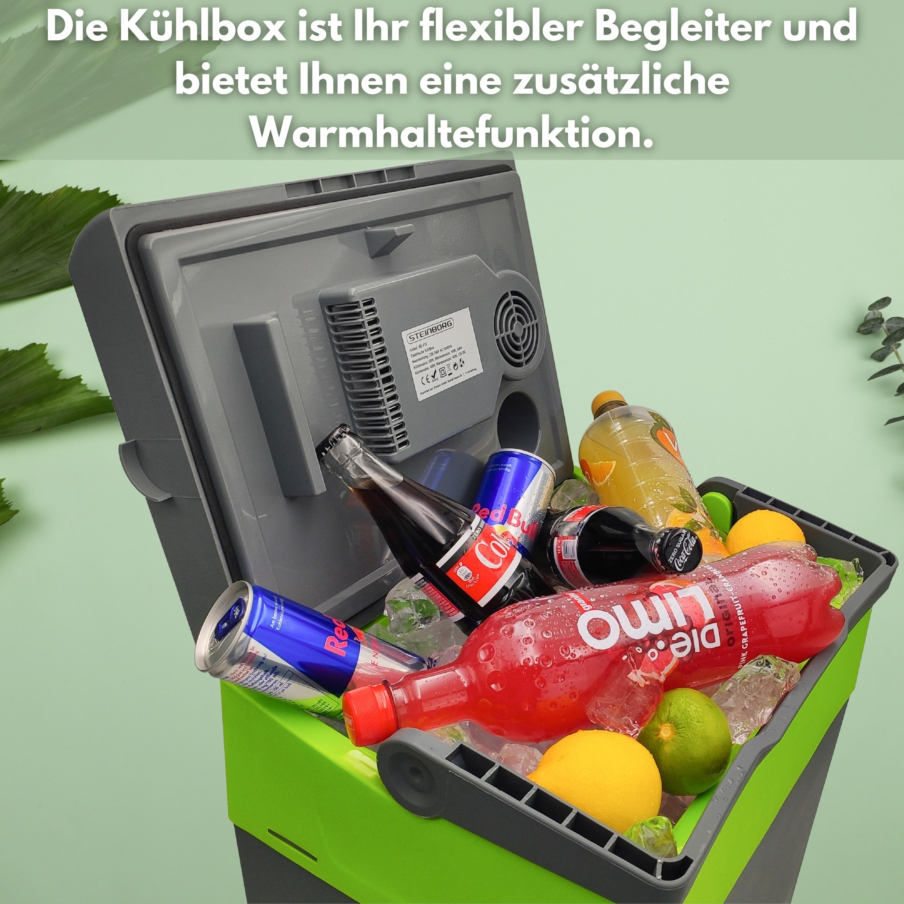 Grün-graue Kühlbox mit Getränkeflaschen und Eis. Text oben auf Deutsch.