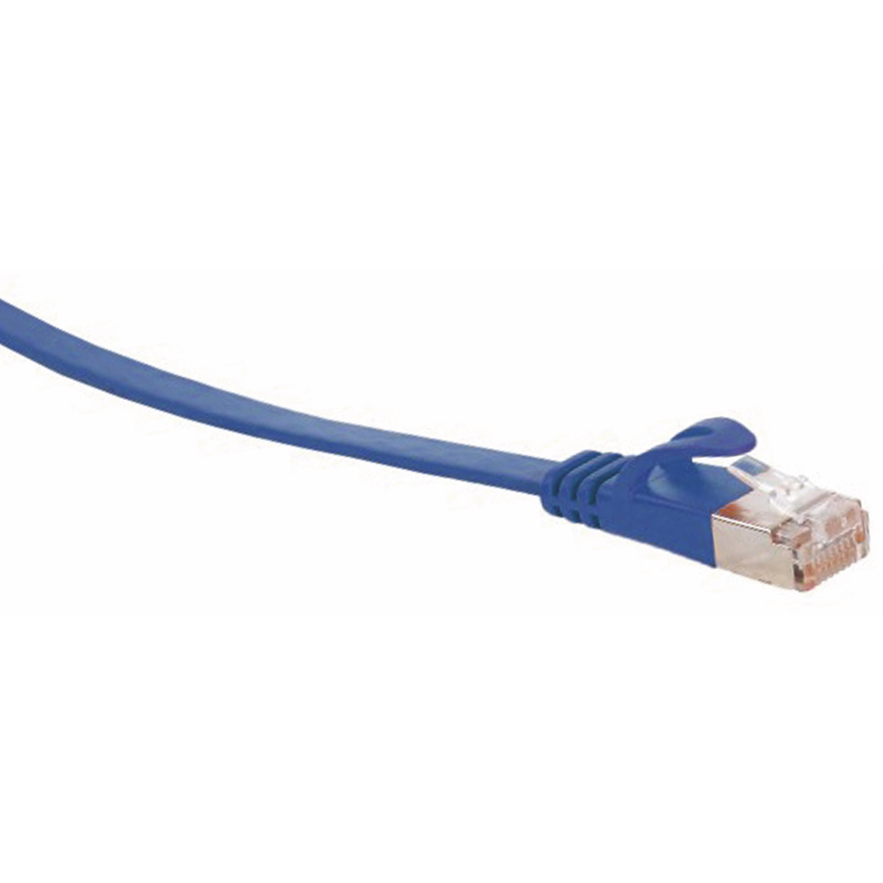 Blaues Netzwerkkabel mit einem transparenten RJ45-Stecker.