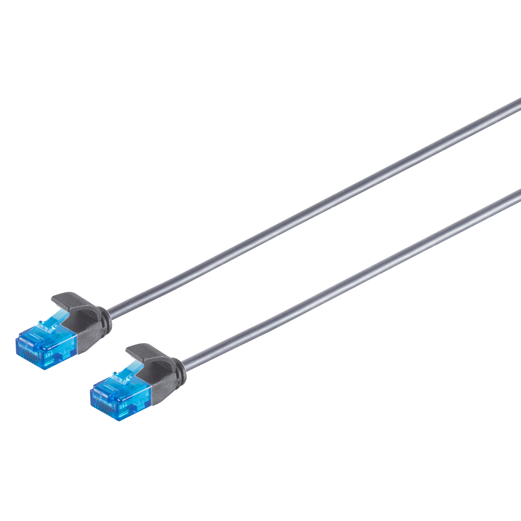 Due cavi Ethernet grigi con connettori blu, su sfondo bianco.