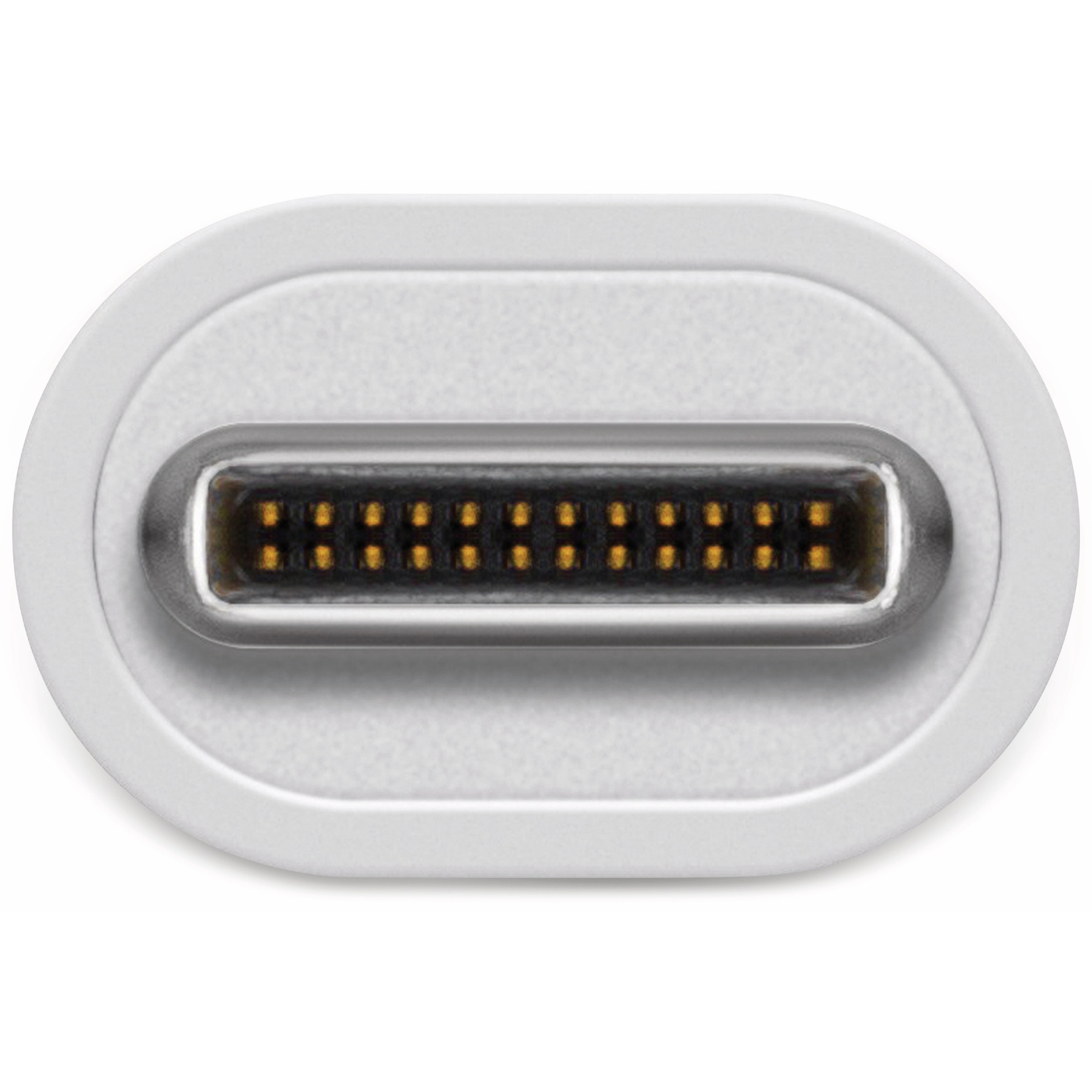Ein USB-C-Anschluss, silberner Metallrahmen um den Anschluss, weißes Oval um den Rahmen. Der Anschluss hat goldene Pins.