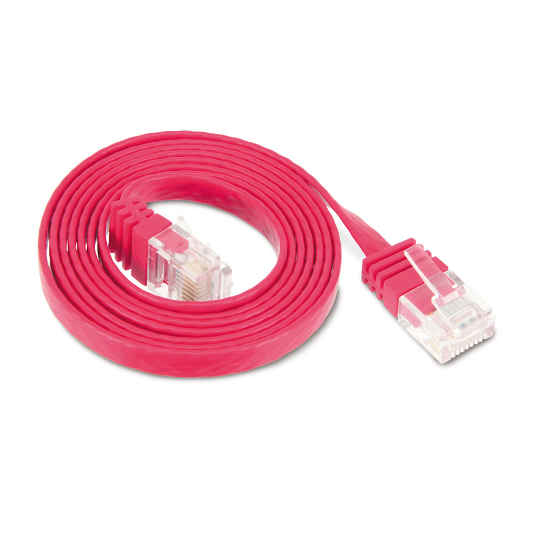 Cavo Ethernet rosa arrotolato, con connettori a ciascuna estremità, e sfondo bianco.